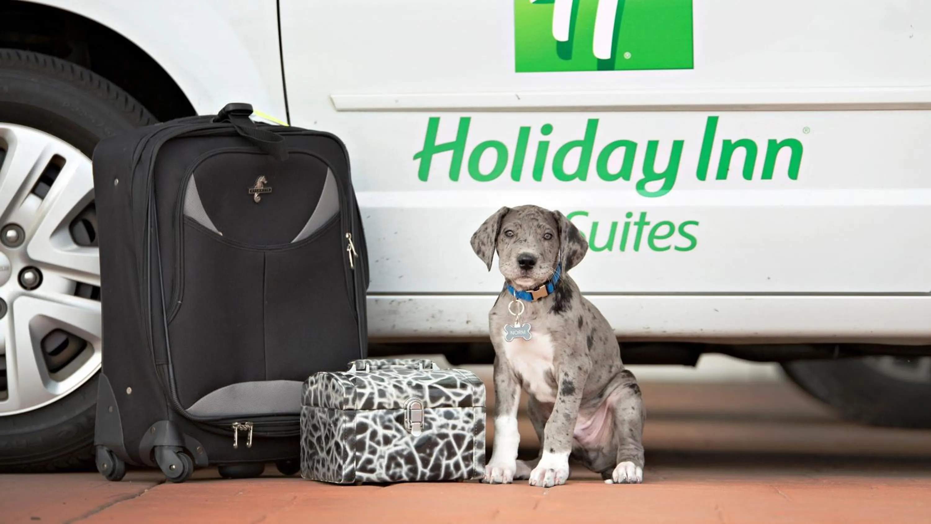 Property building in Holiday Inn Hotel & Suites Bloomington Airport by IHG