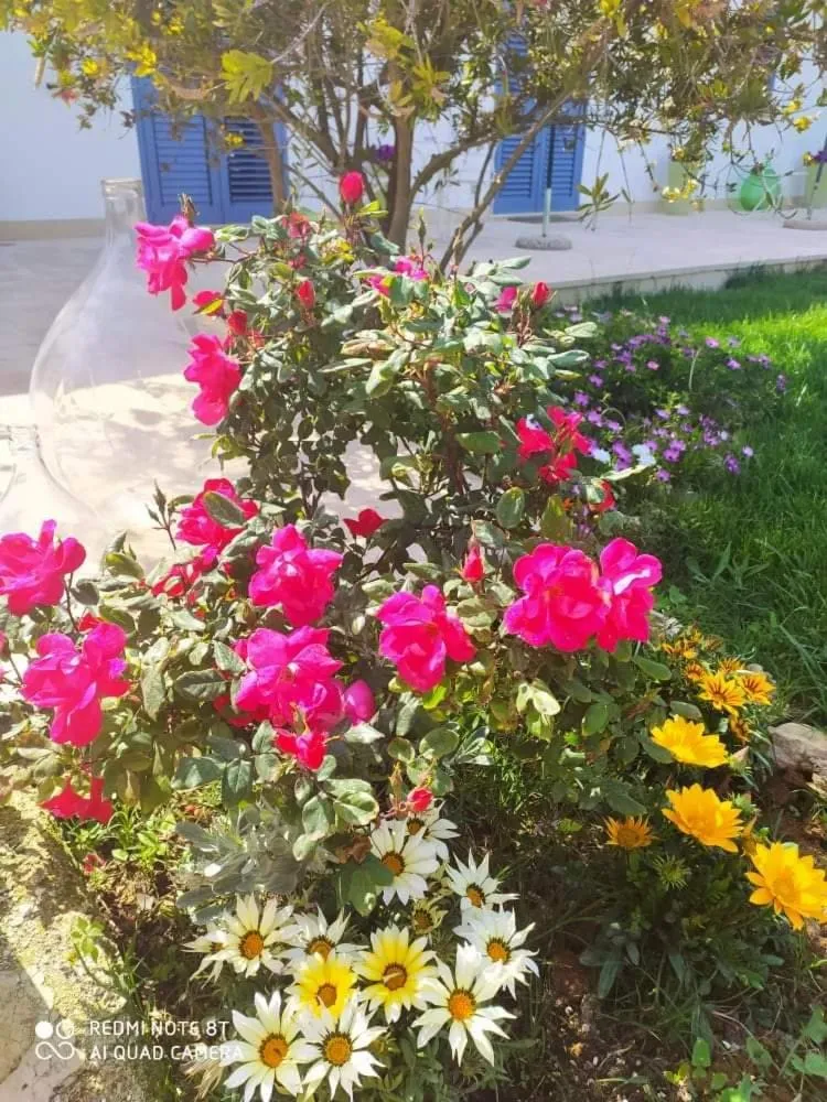 Garden in LI CURTI B&B