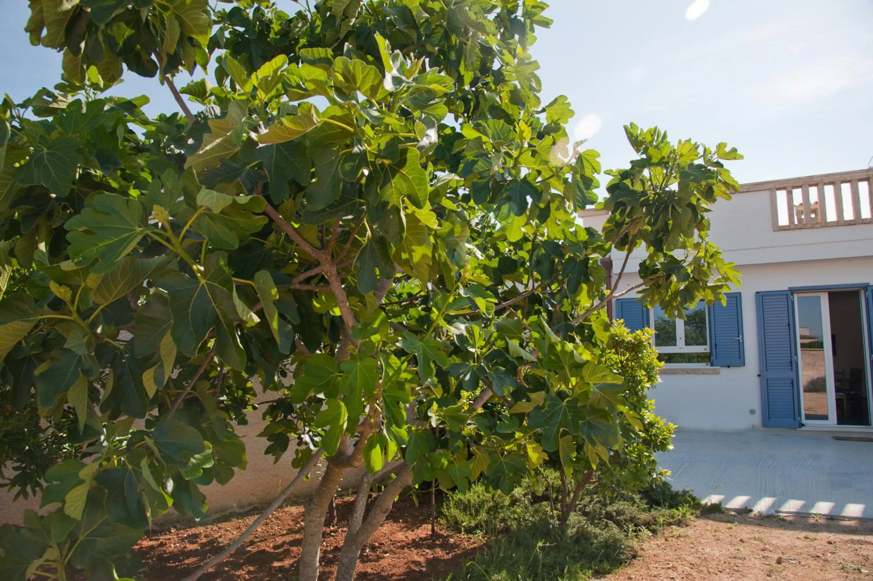Garden in LI CURTI B&B