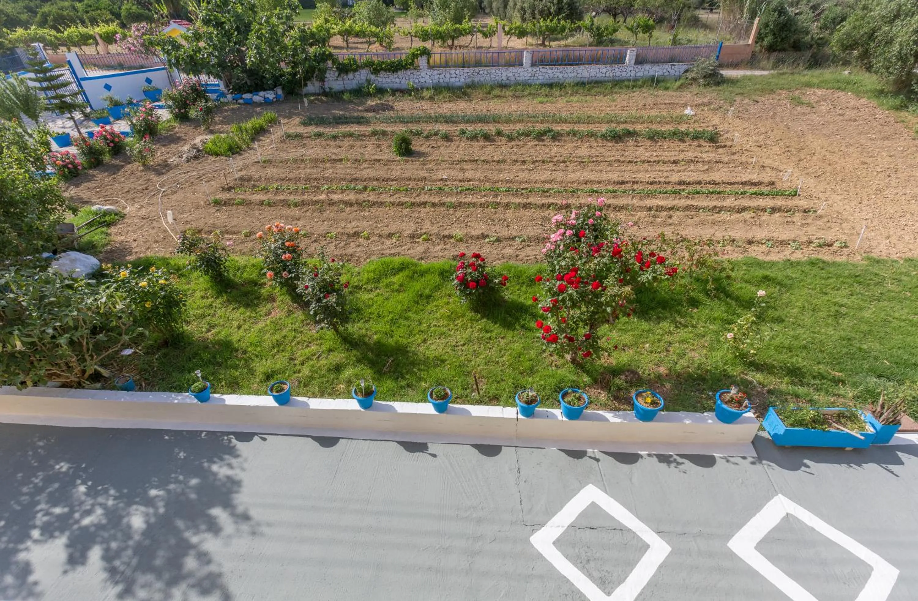 Garden in Anastasia Studios Katelios