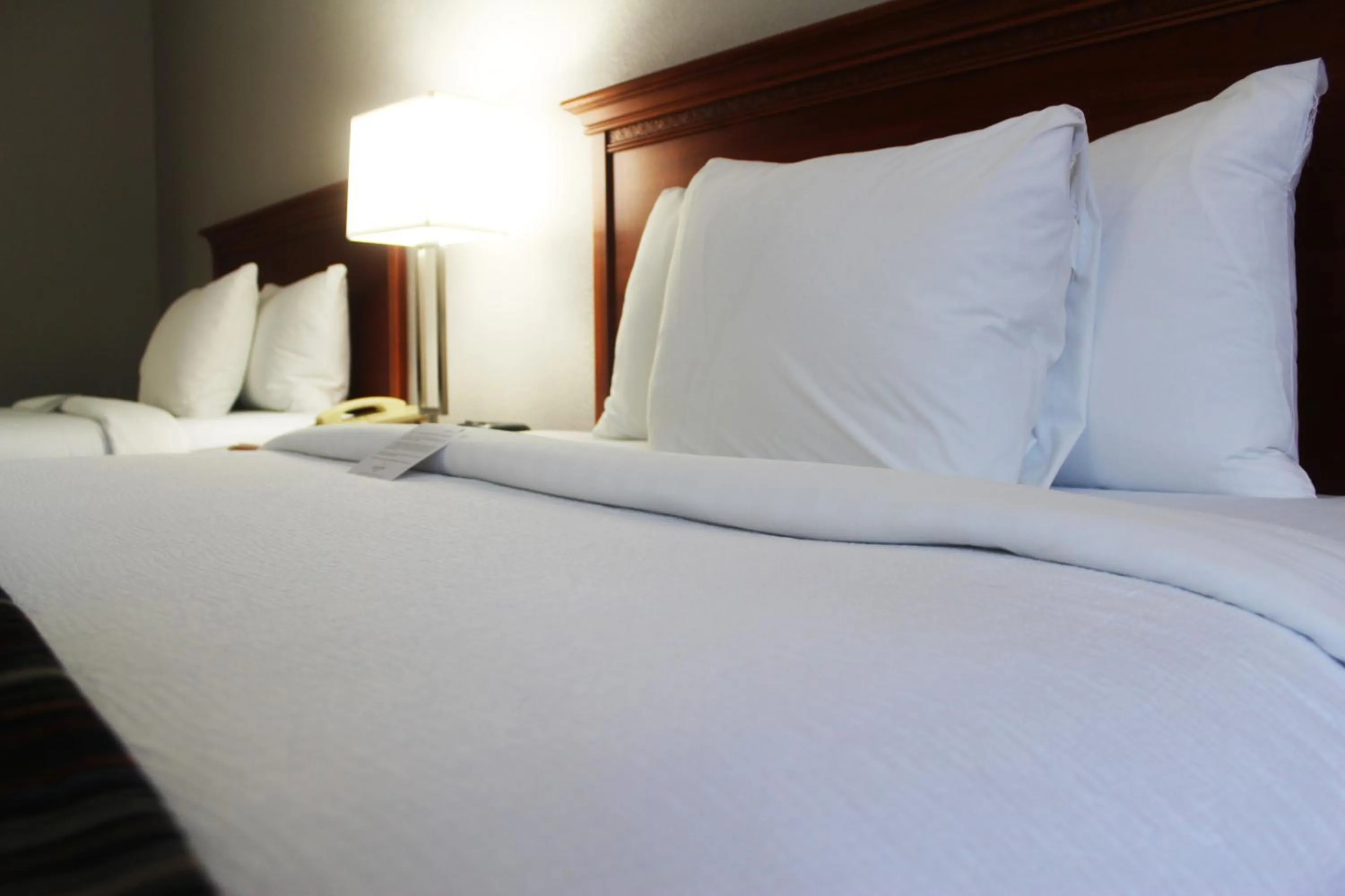 Decorative detail, Bed in Country Inn & Suites by Radisson, San Antonio Lackland AFB - SeaWorld Area