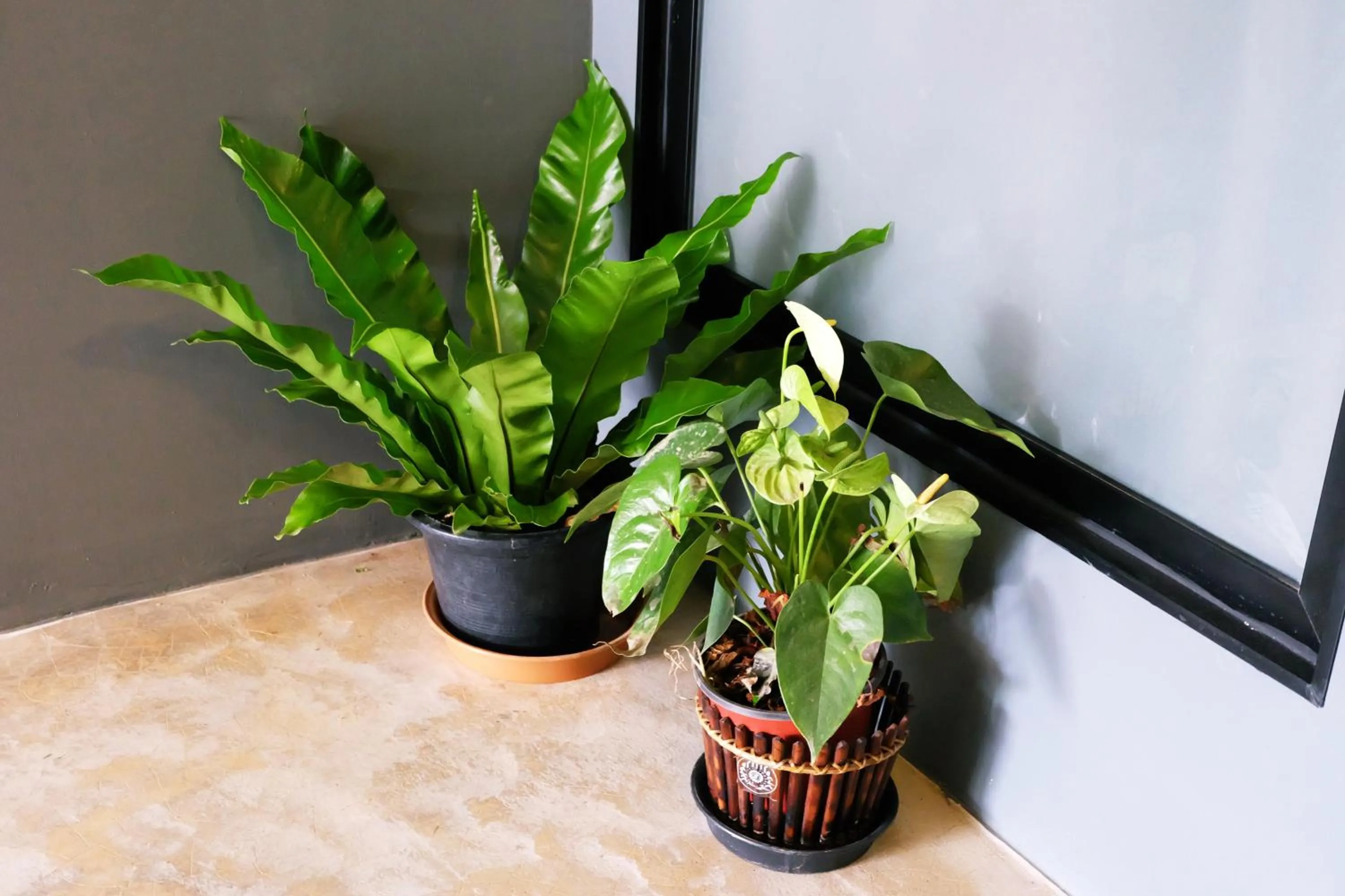 Decorative detail in Sleep Airport Chiang Mai