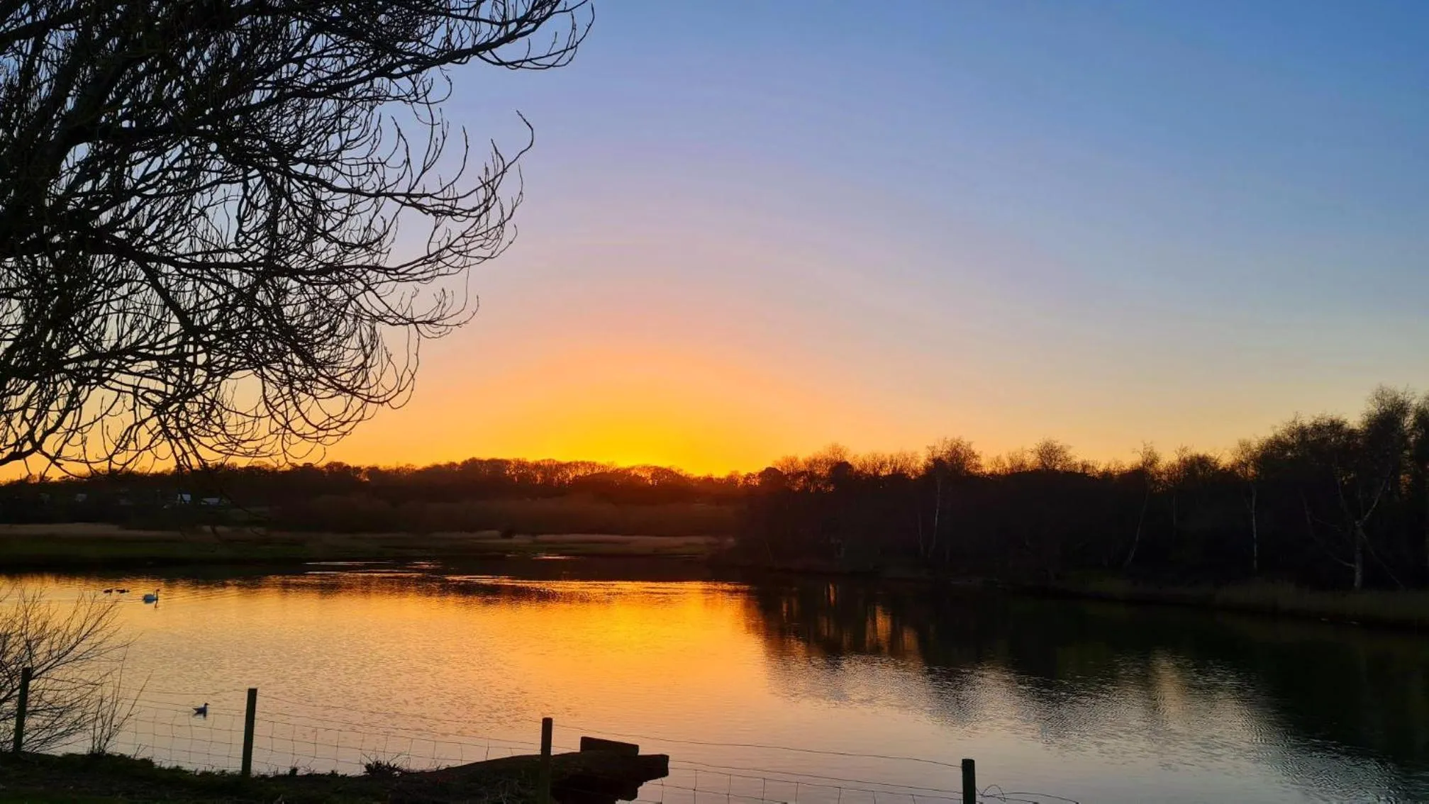 Natural landscape in Seaview Holidays - Salterns Village