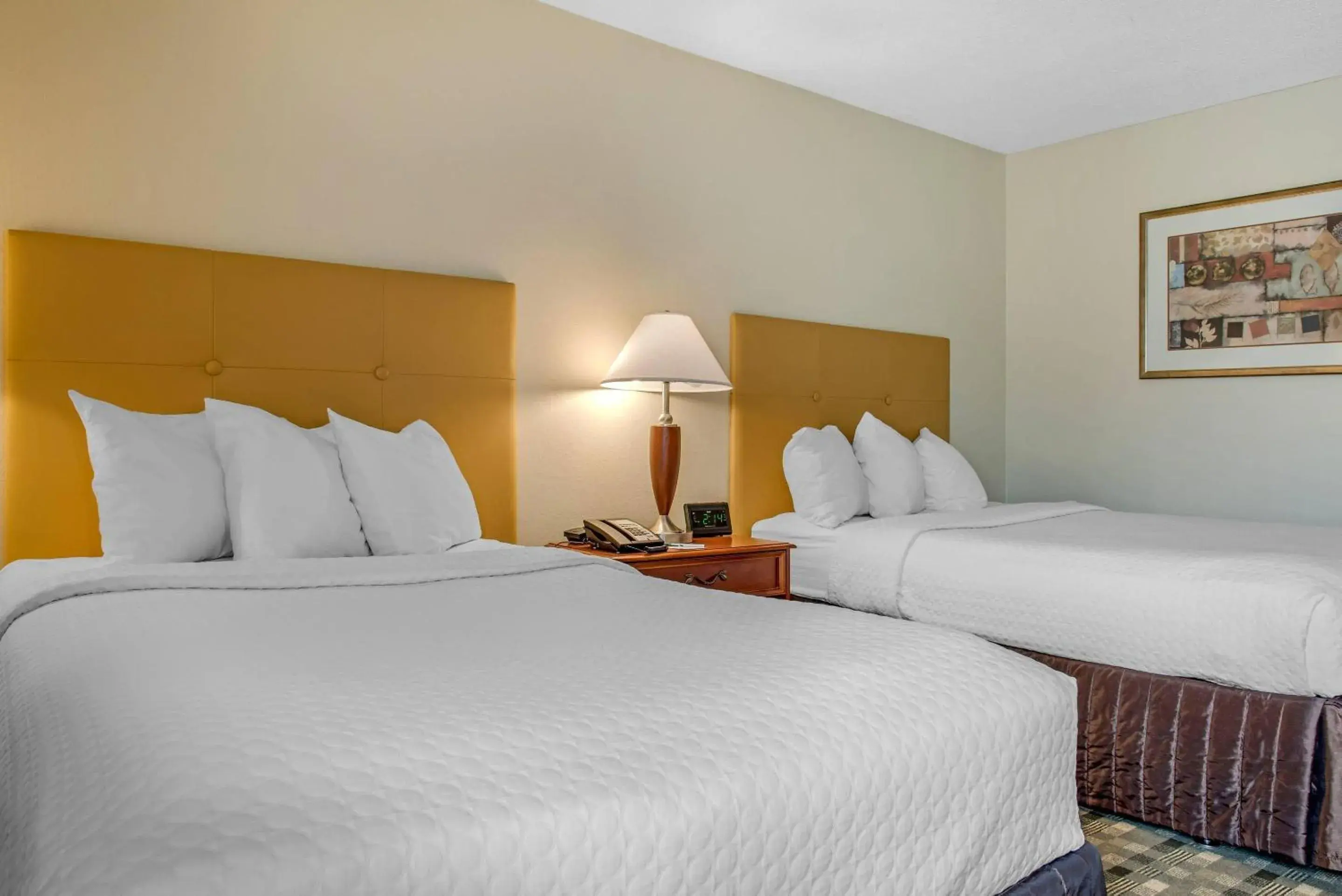 Bedroom, Bed in Quality Hotel Conference Center Cincinnati Blue Ash Bedroom, Bed in Quality Hotel Conference Center Cincinnati Blue Ash