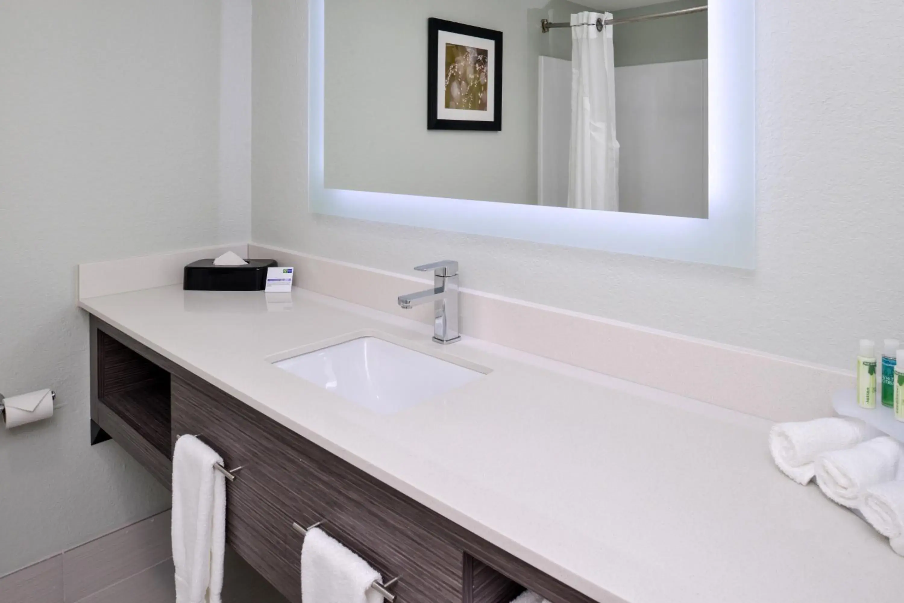 Bathroom in Holiday Inn Express Hotel & Suites Bonita Springs/Naples by IHG Bathroom in Holiday Inn Express Hotel & Suites Bonita Springs/Naples by IHG