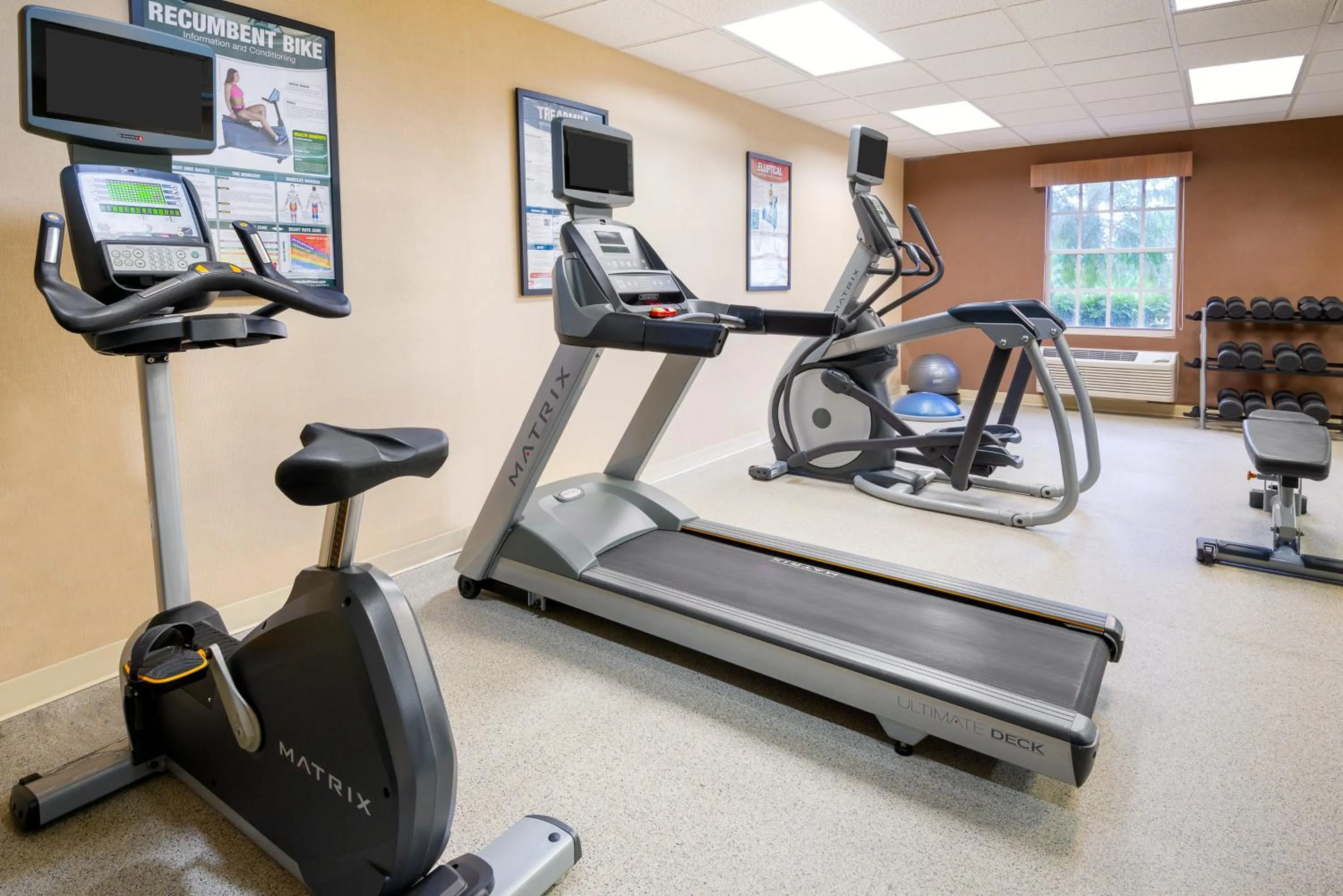 Fitness centre/facilities in Holiday Inn Express Hotel & Suites Bonita Springs/Naples by IHG
