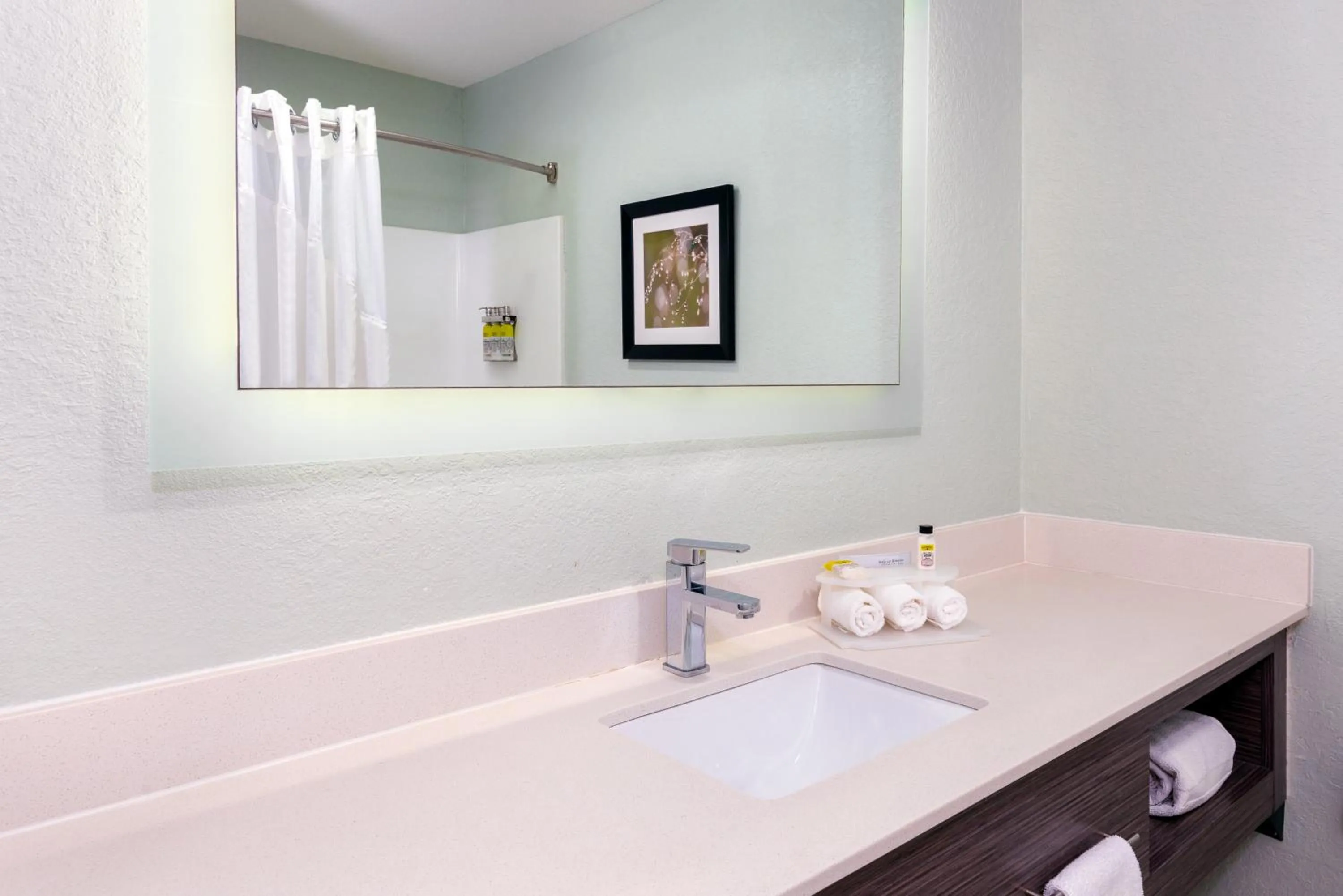 Bathroom in Holiday Inn Express Hotel & Suites Bonita Springs/Naples by IHG