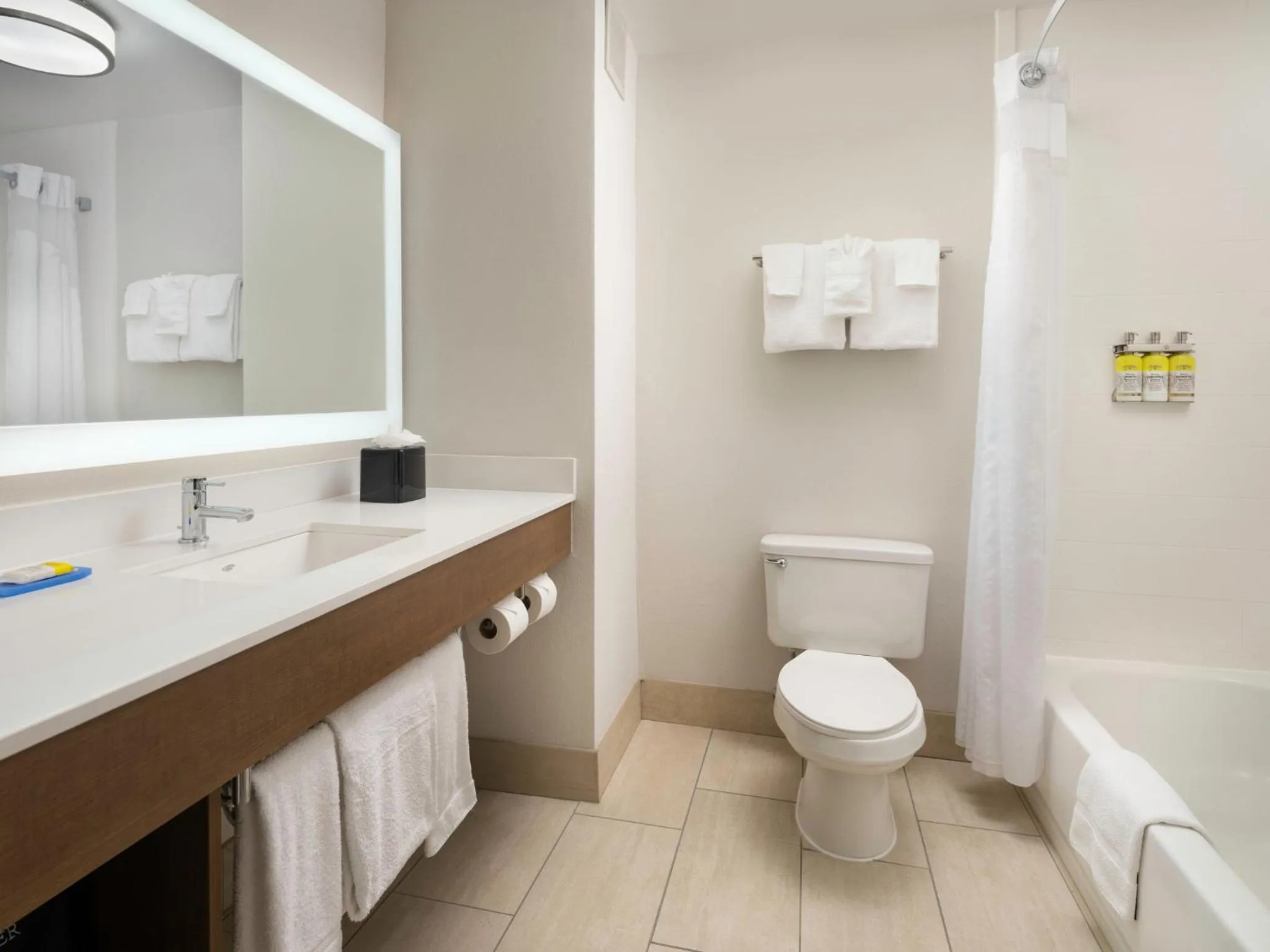 Bathroom in Holiday Inn Express Hotel & Suites Olive Branch by IHG
