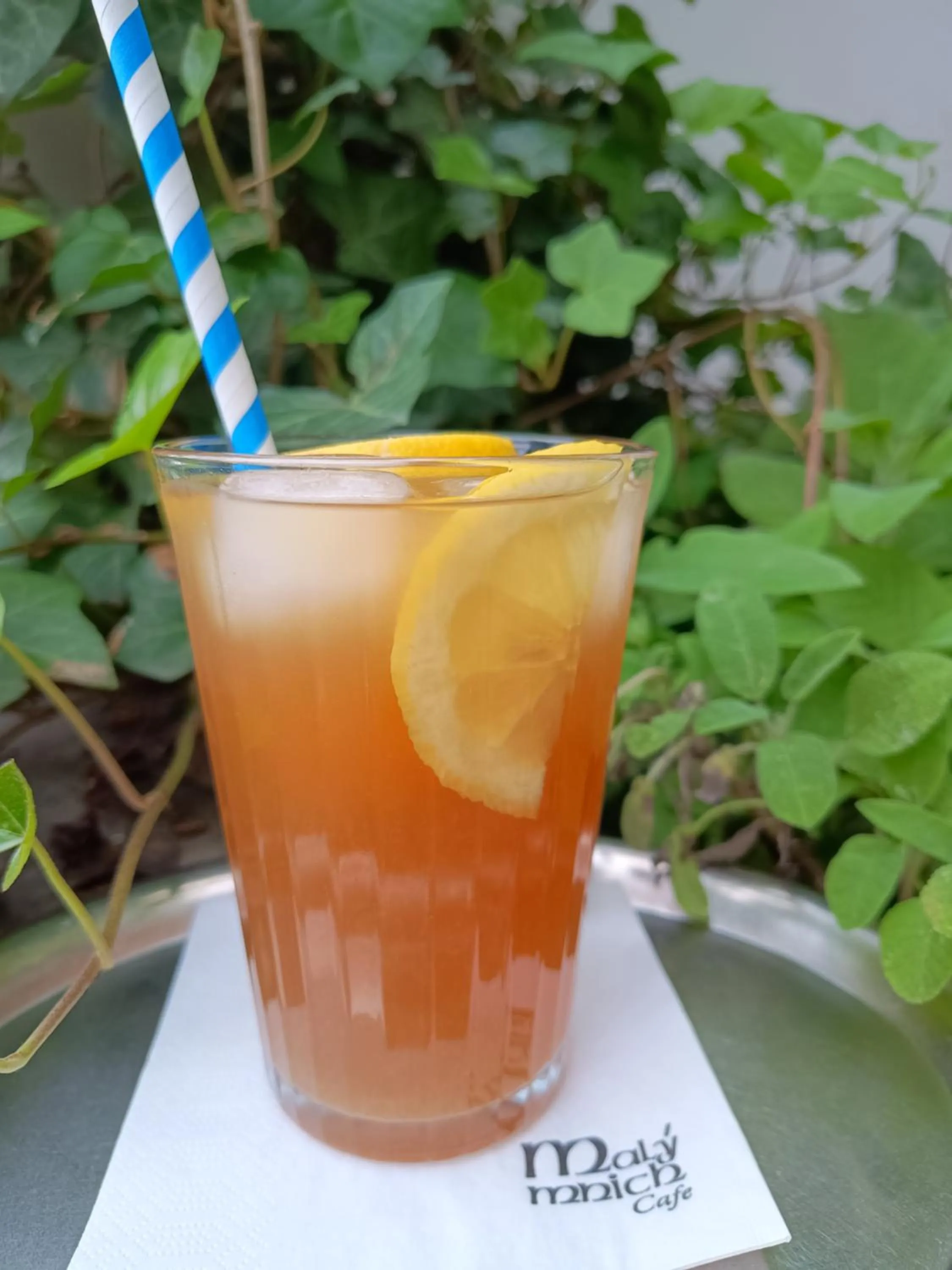 Restaurant/places to eat in Apartmány Malý mnich