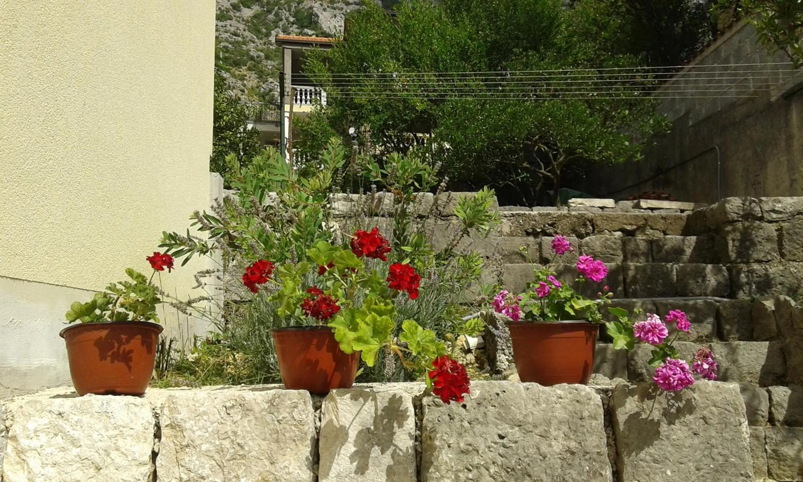 Apartment Adela