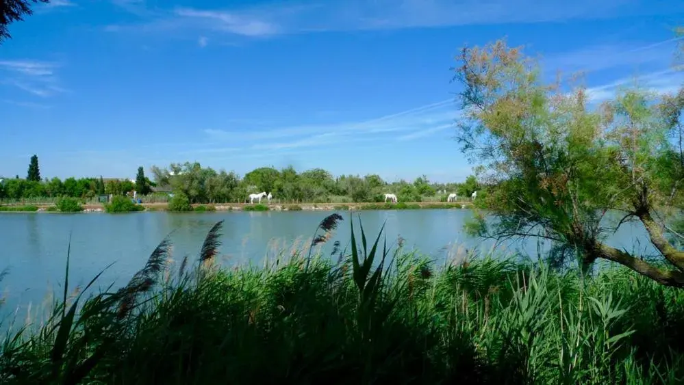 Double Room with Lake View in Mas des Cabidoules Double Room with Lake View in Mas des Cabidoules