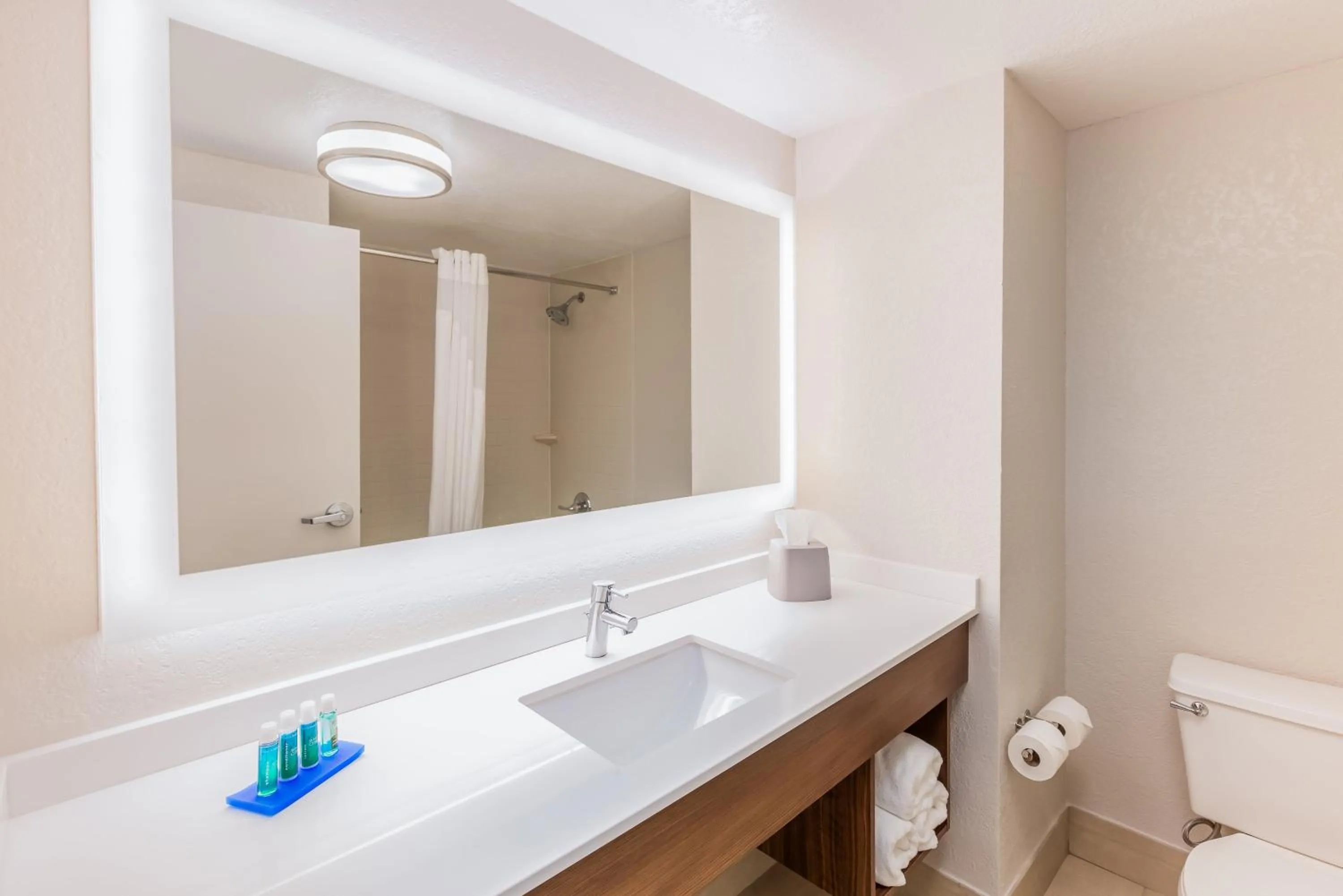 Bathroom in Holiday Inn Express Orange Beach - On The Beach by IHG