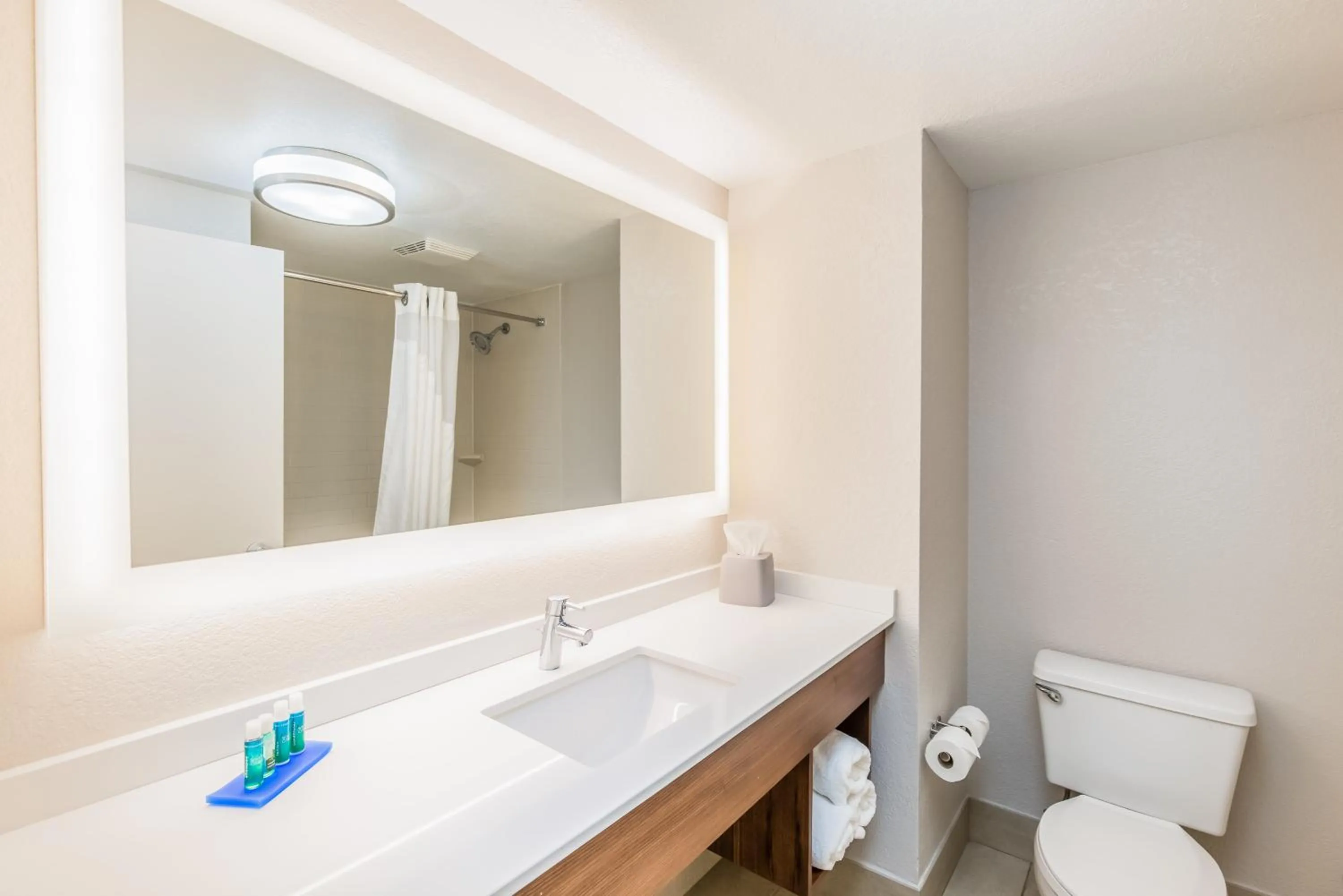 Bathroom in Holiday Inn Express Orange Beach - On The Beach by IHG