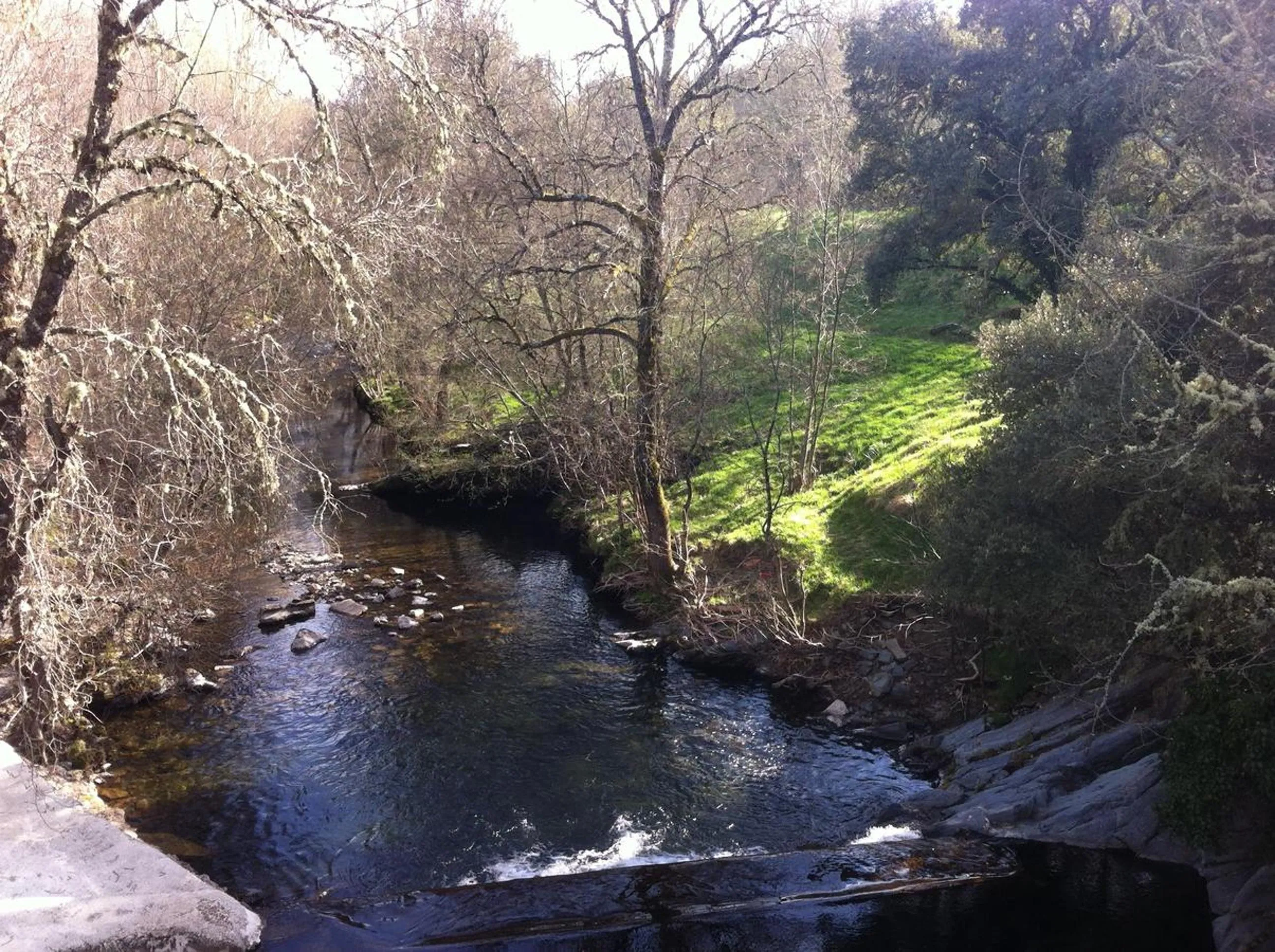 Natural landscape in Candeias do Souto