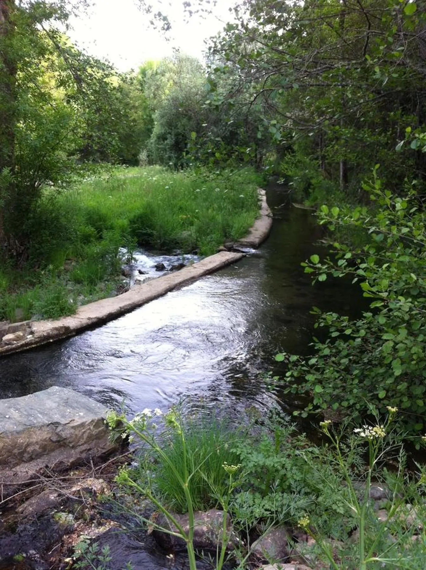 Natural landscape in Candeias do Souto