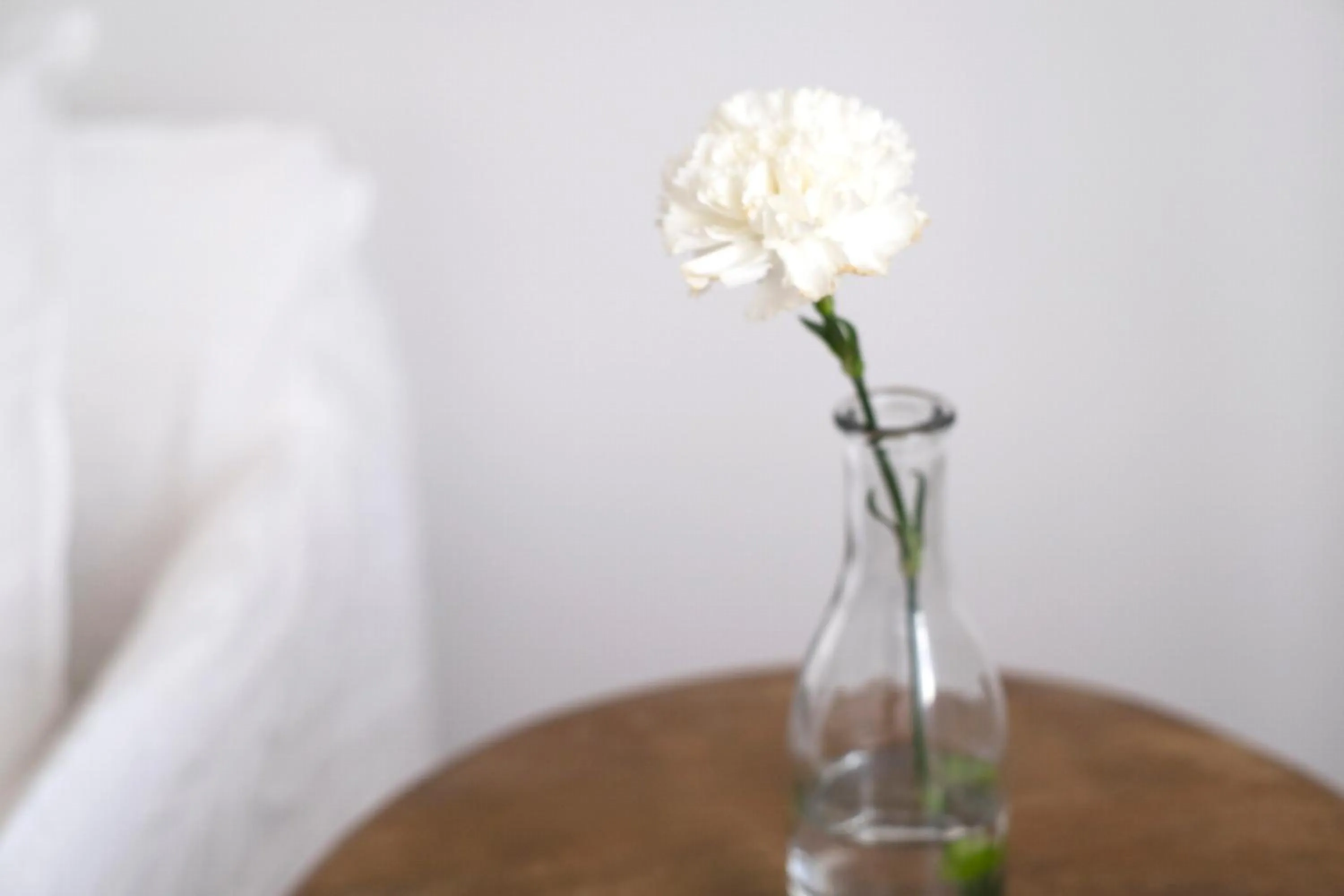 Decorative detail in Hotel Ca S'Arader Turismo de Interior