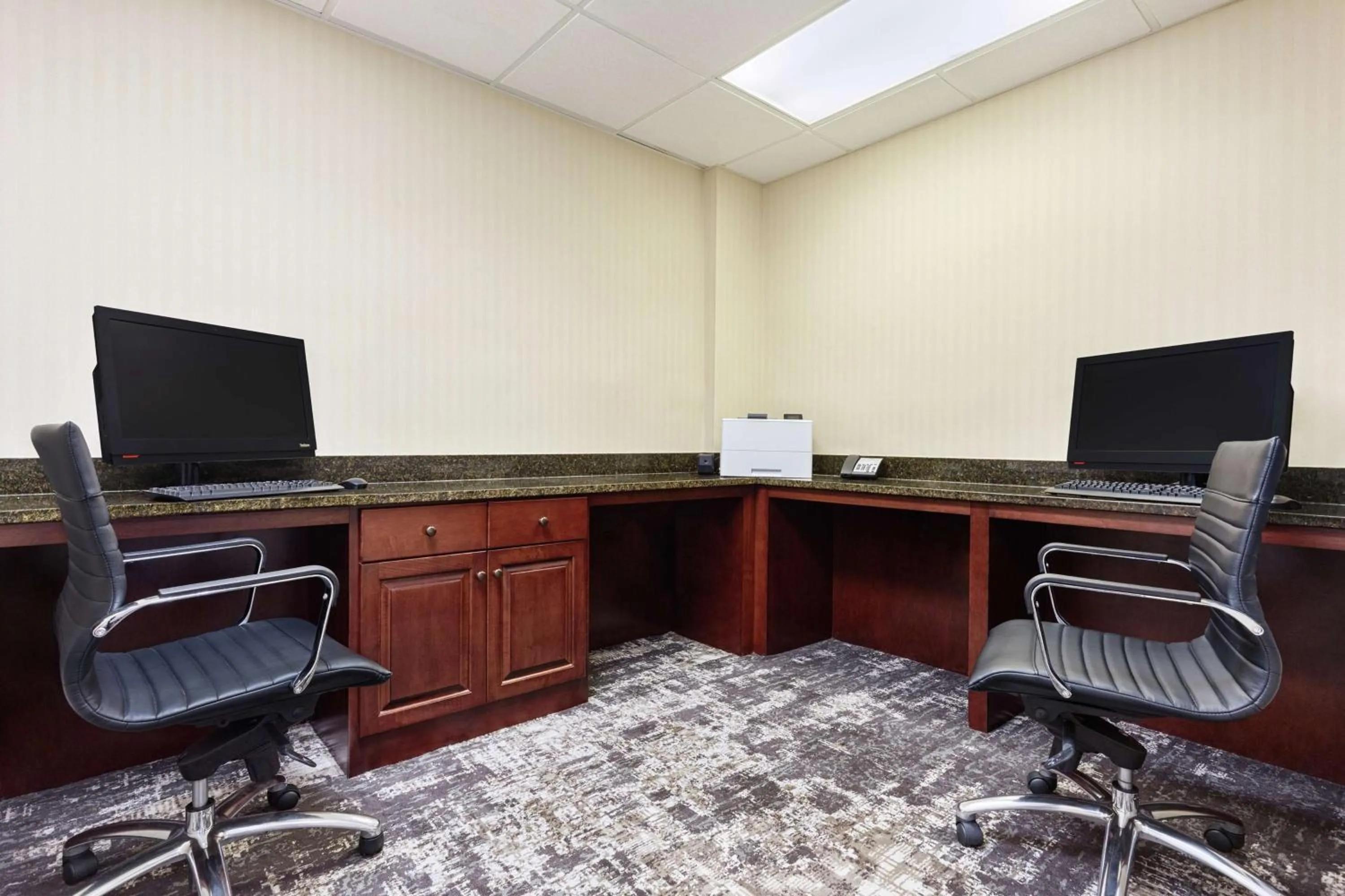 Business facilities in Hampton Inn Amelia Island