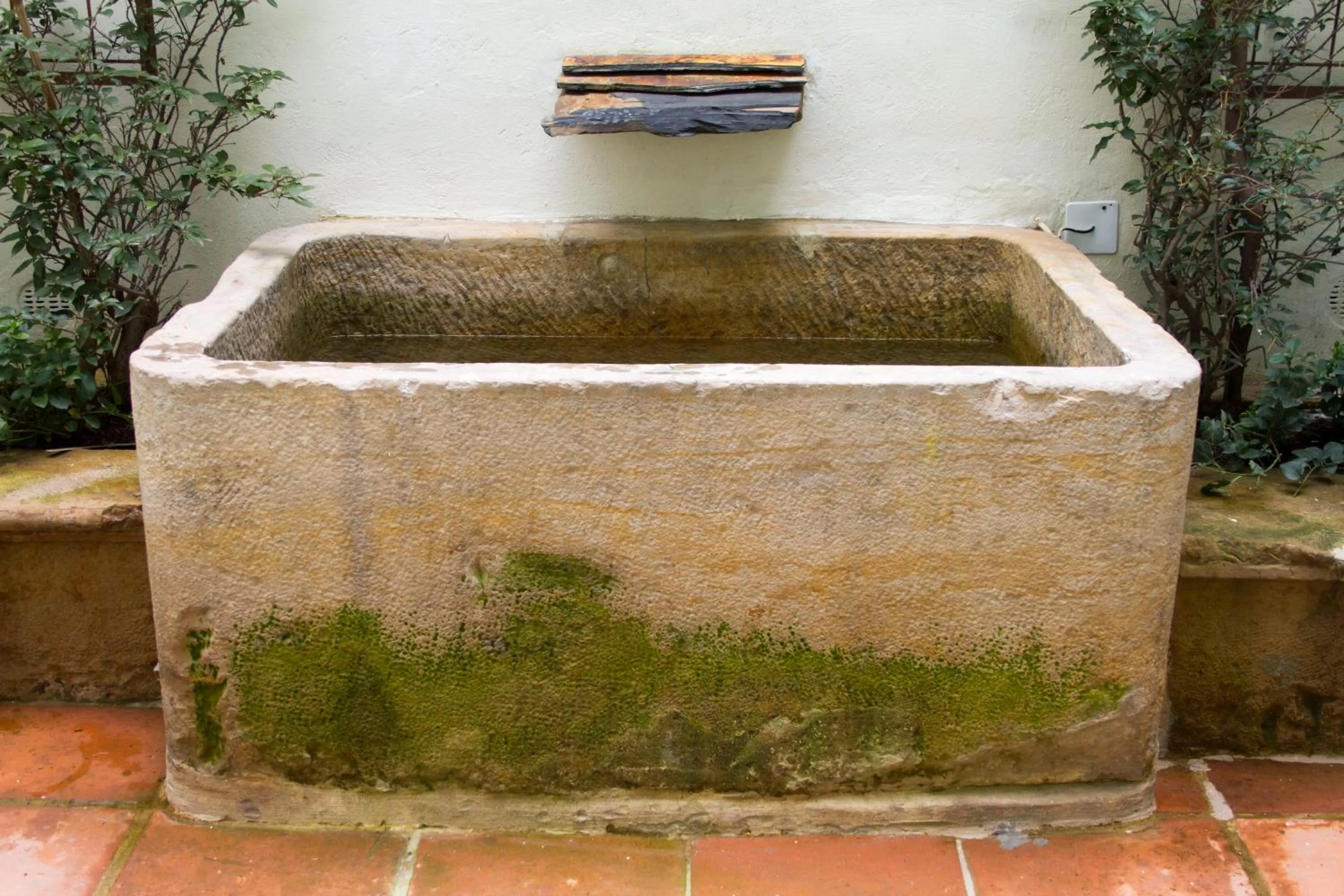 Garden in Hotel Casa de la Vega