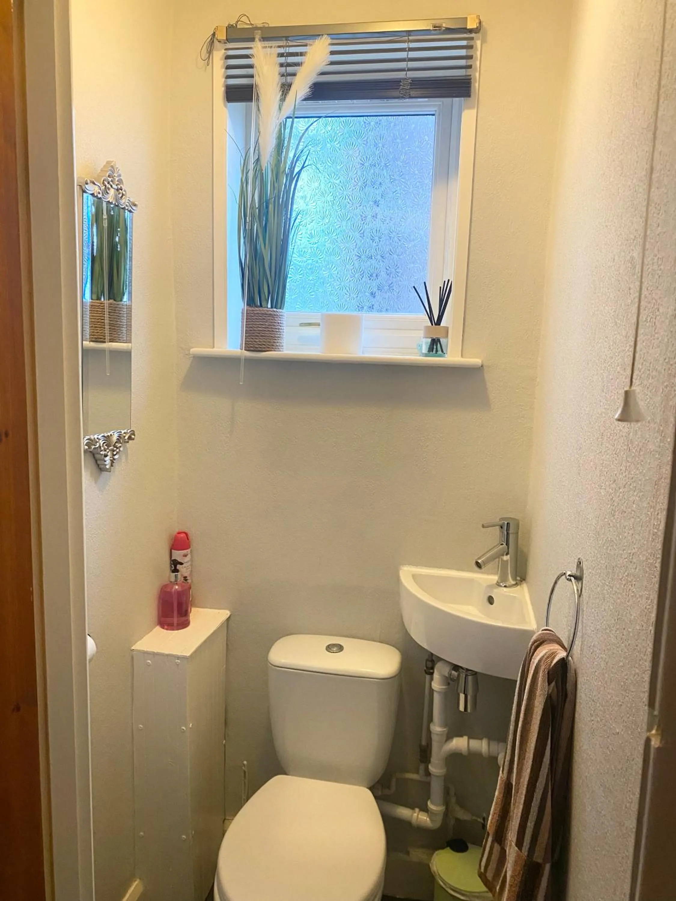 Toilet in Friars Rest Guest House