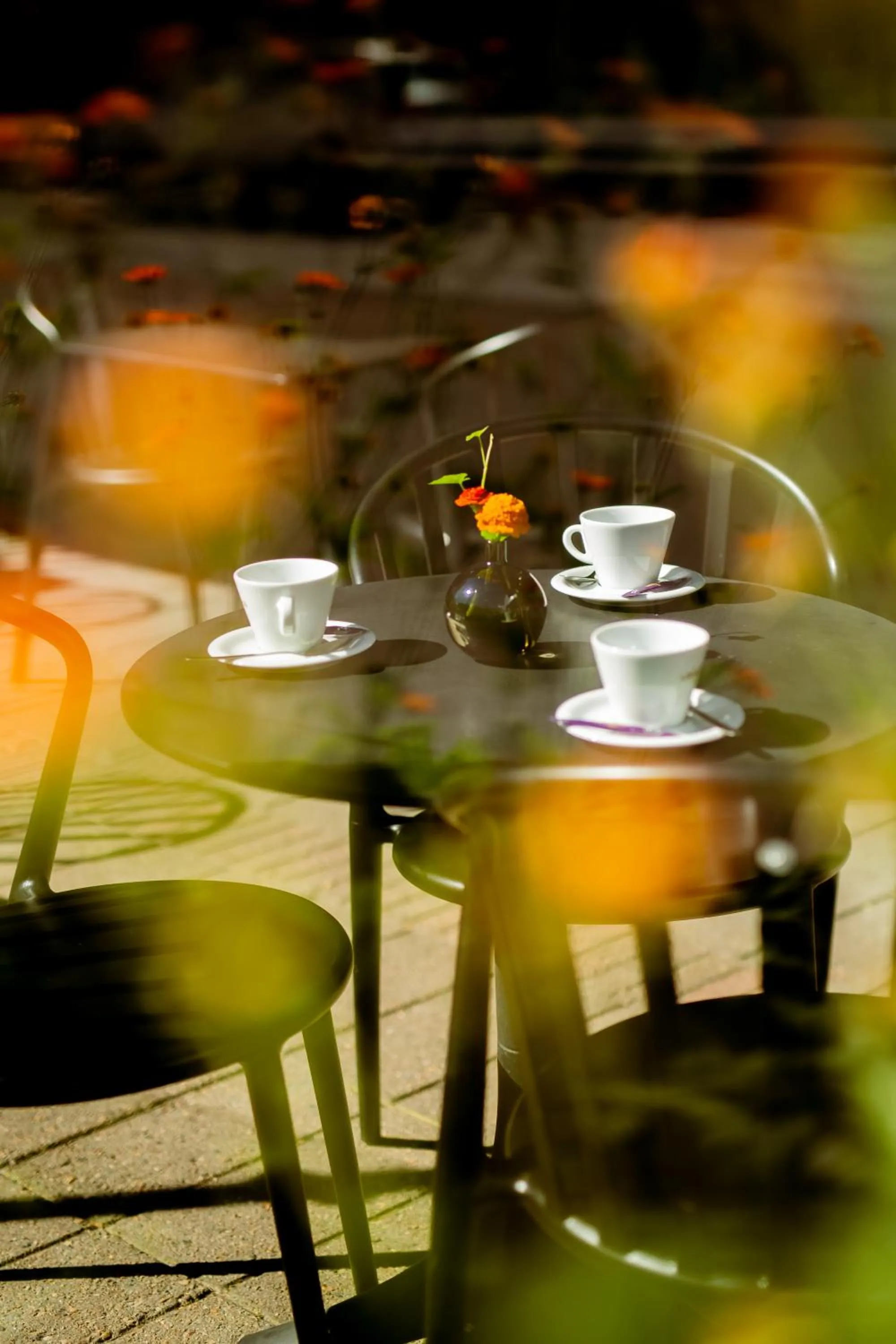Patio in Quality Hotel Royal Corner