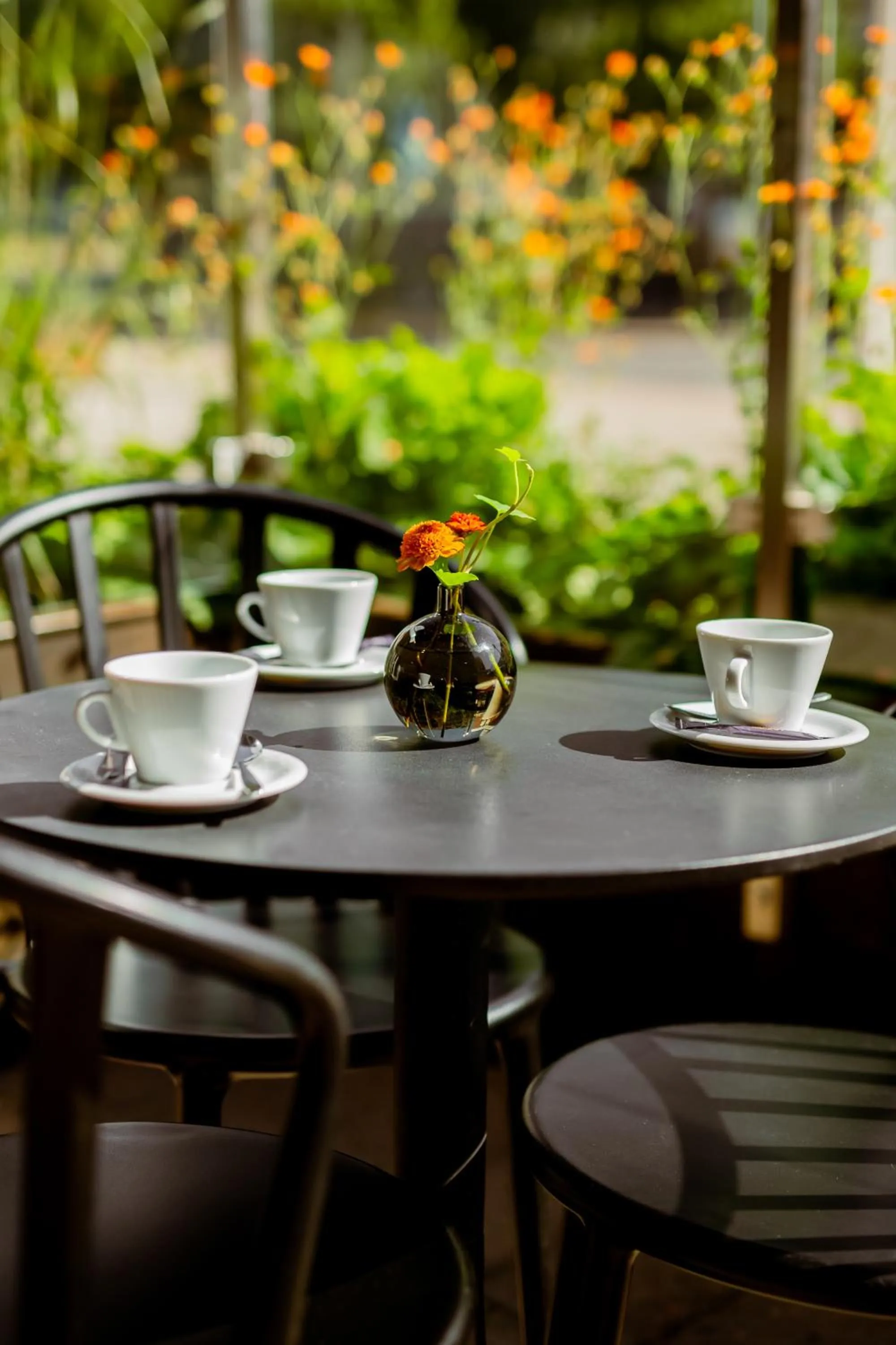 Patio in Quality Hotel Royal Corner