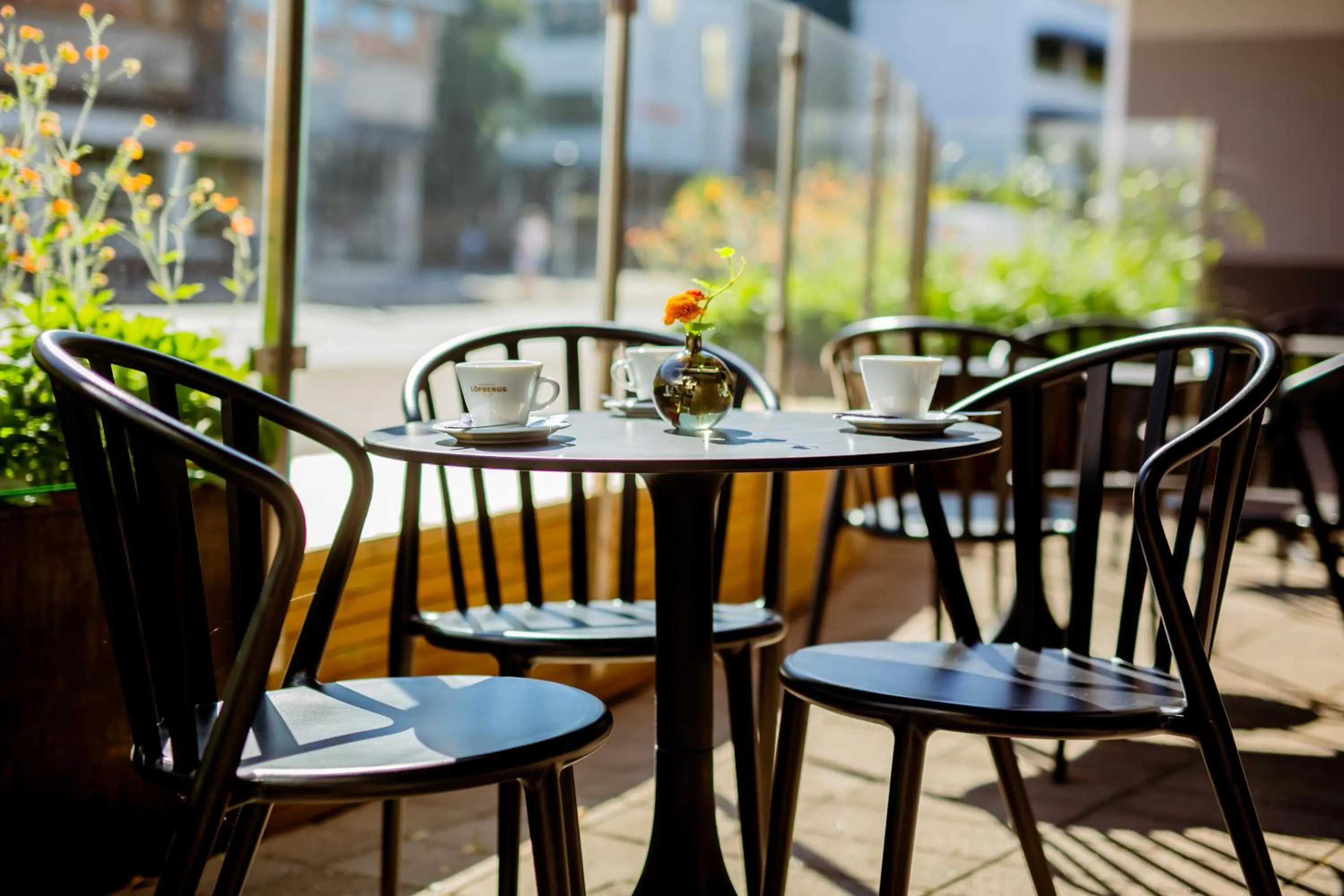 Patio in Quality Hotel Royal Corner