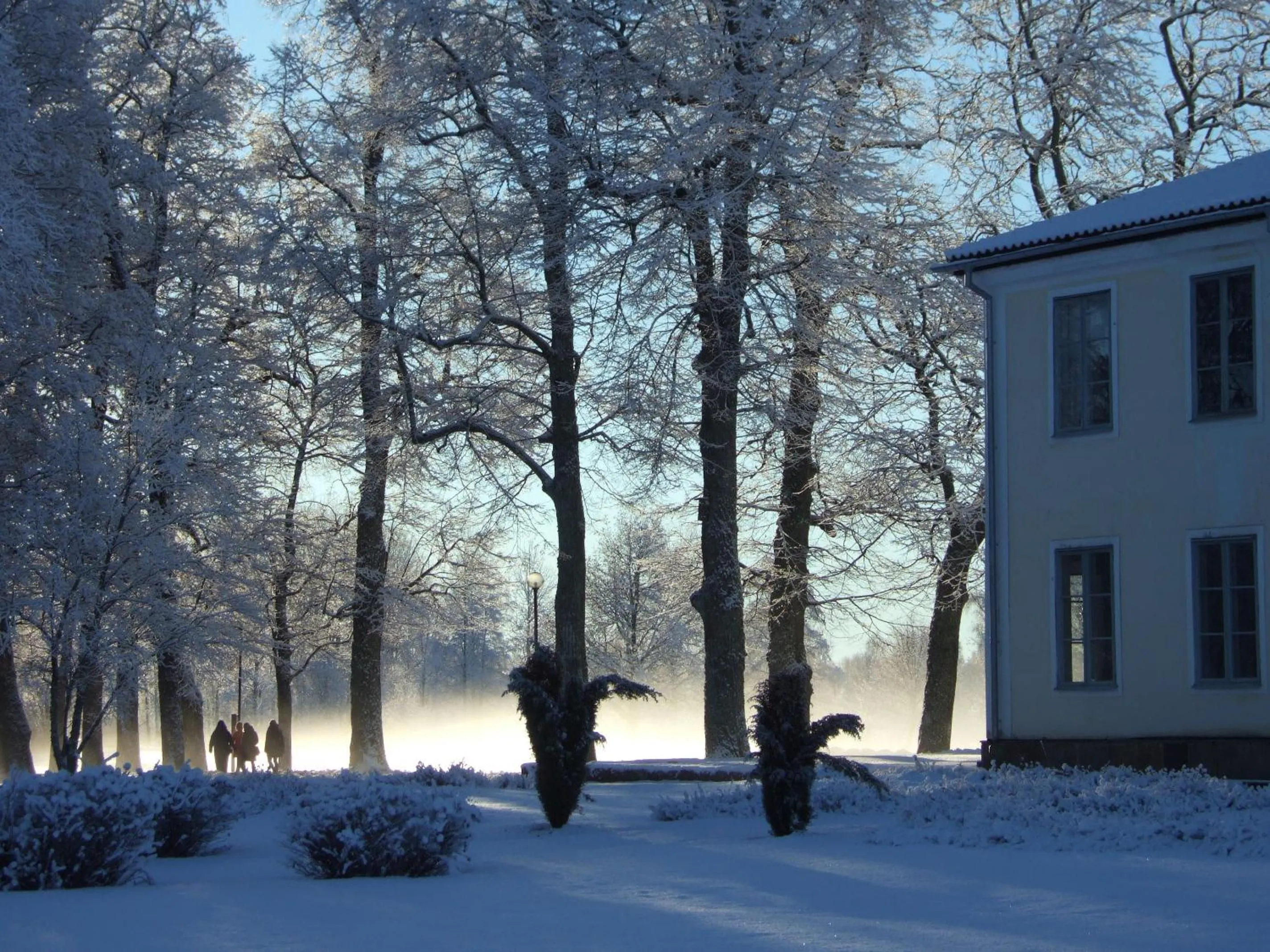 Natural landscape in Högbo Brukshotell & Spa