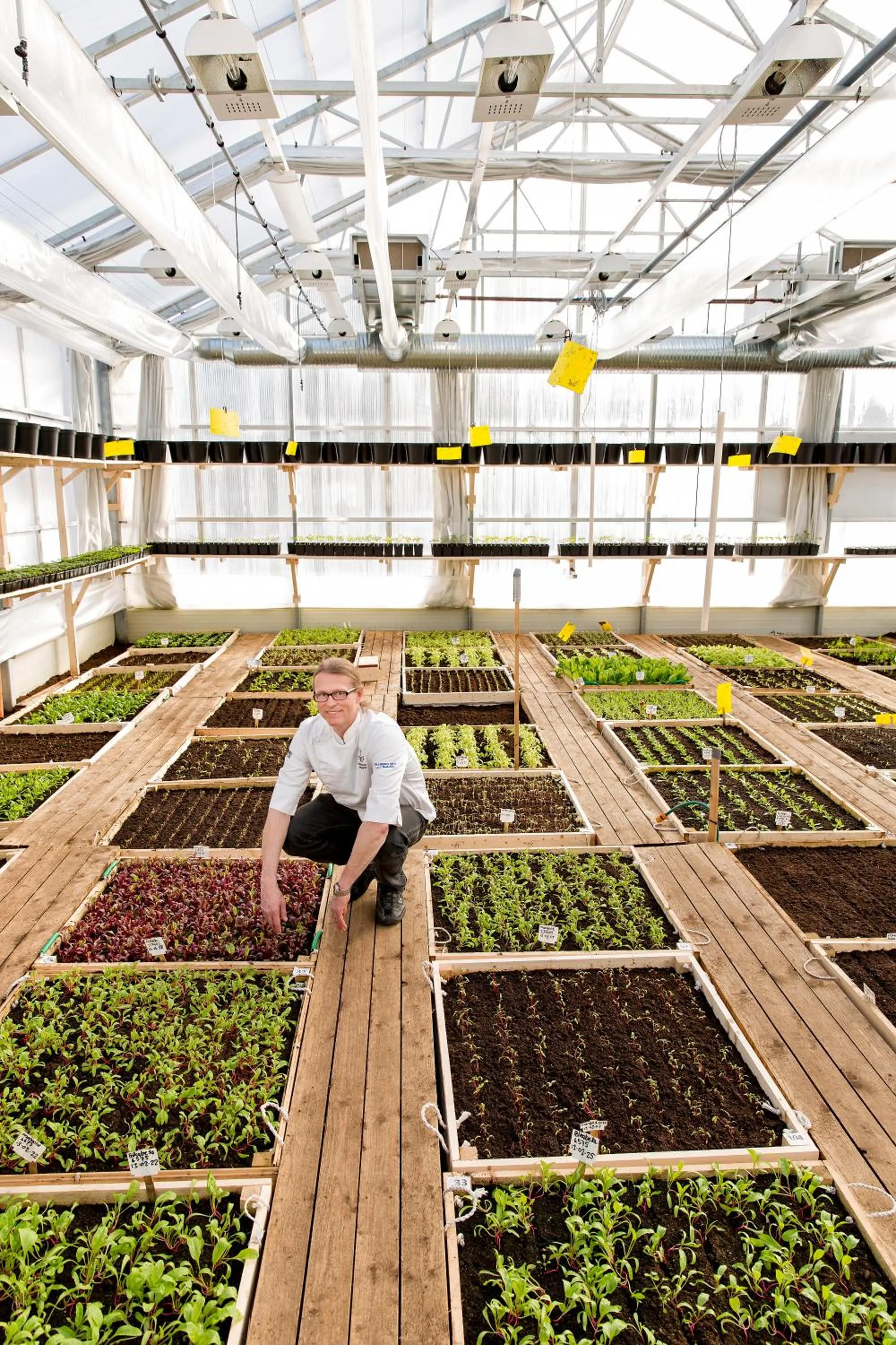 Food in Högbo Brukshotell & Spa