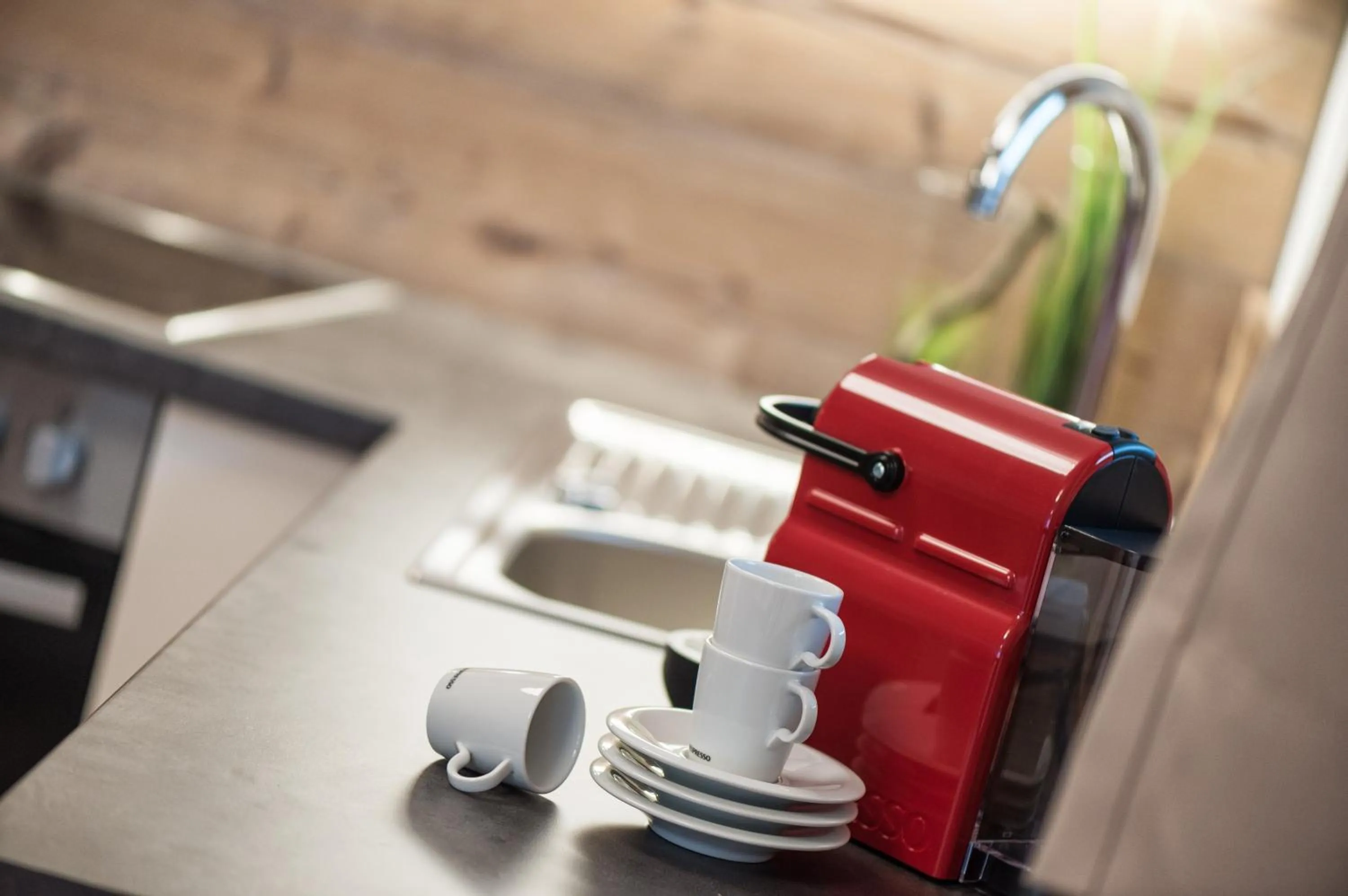 Kitchen or kitchenette in AlpenParks Hotel & Apartment Orgler Kaprun