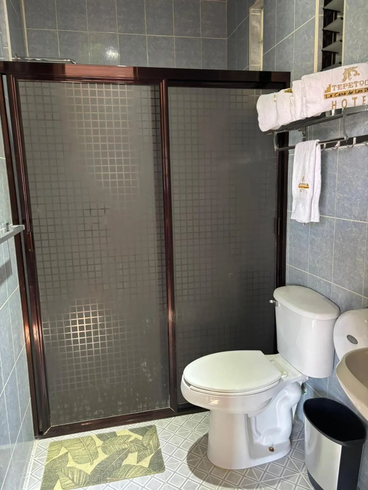 Hotel Real Campestre Tepetoci