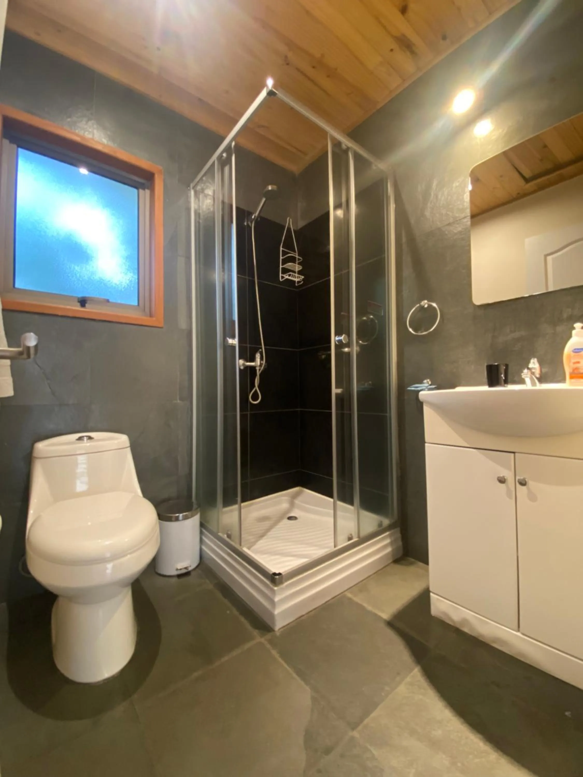 Bathroom in Loft Pucon