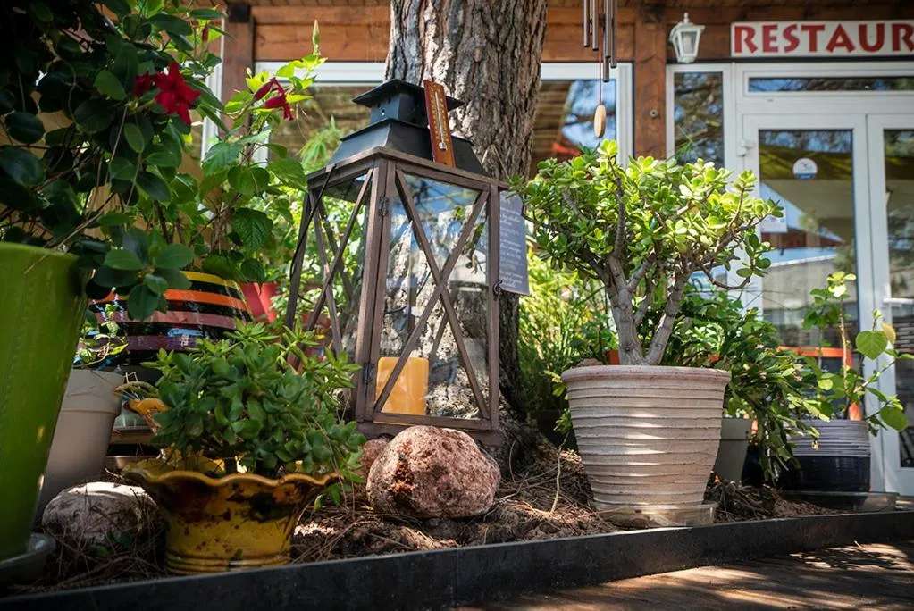 Patio in Logis Hôtel- Hôtel Restaurant Le Rialto