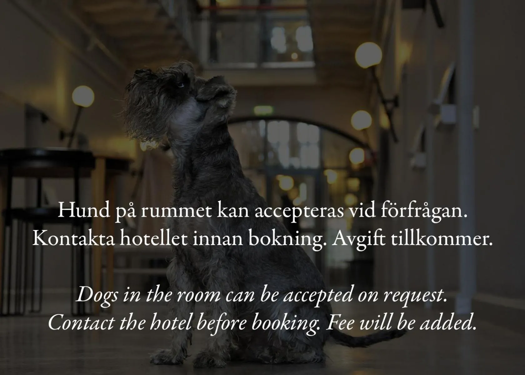 Pets in Långholmen Hotell
