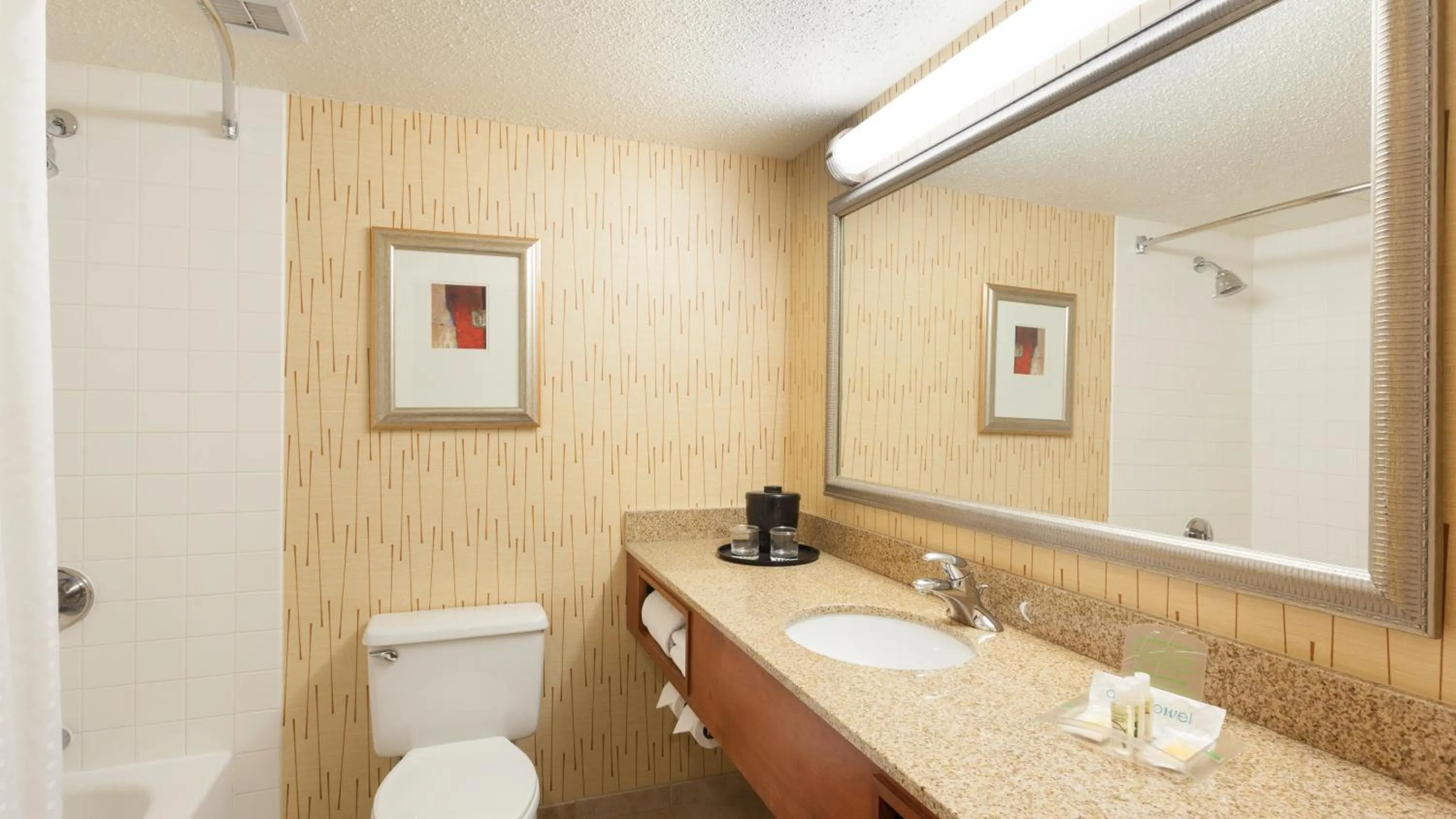 Bathroom in Holiday Inn Cincinnati Airport by IHG