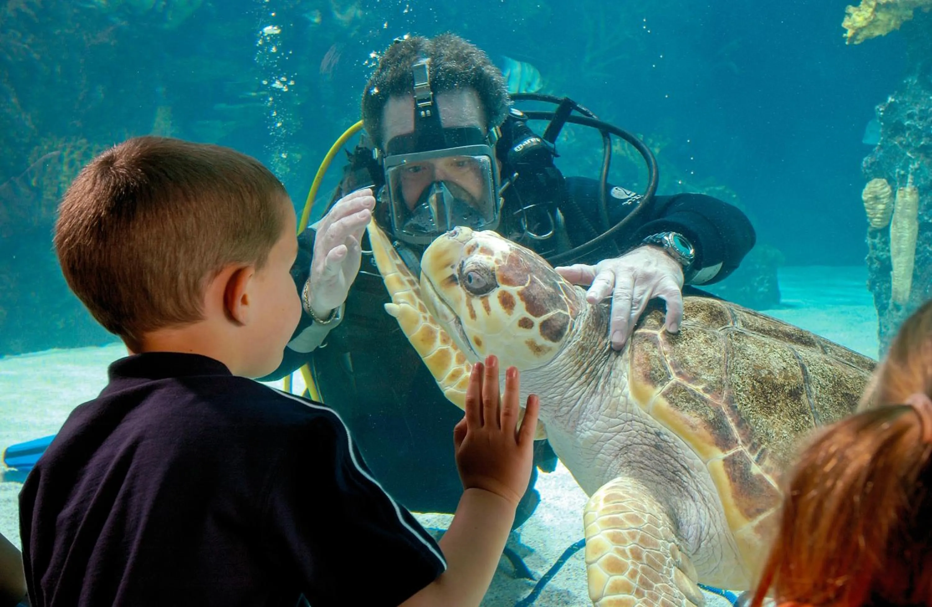 Area and facilities in Holiday Inn Cincinnati Airport by IHG