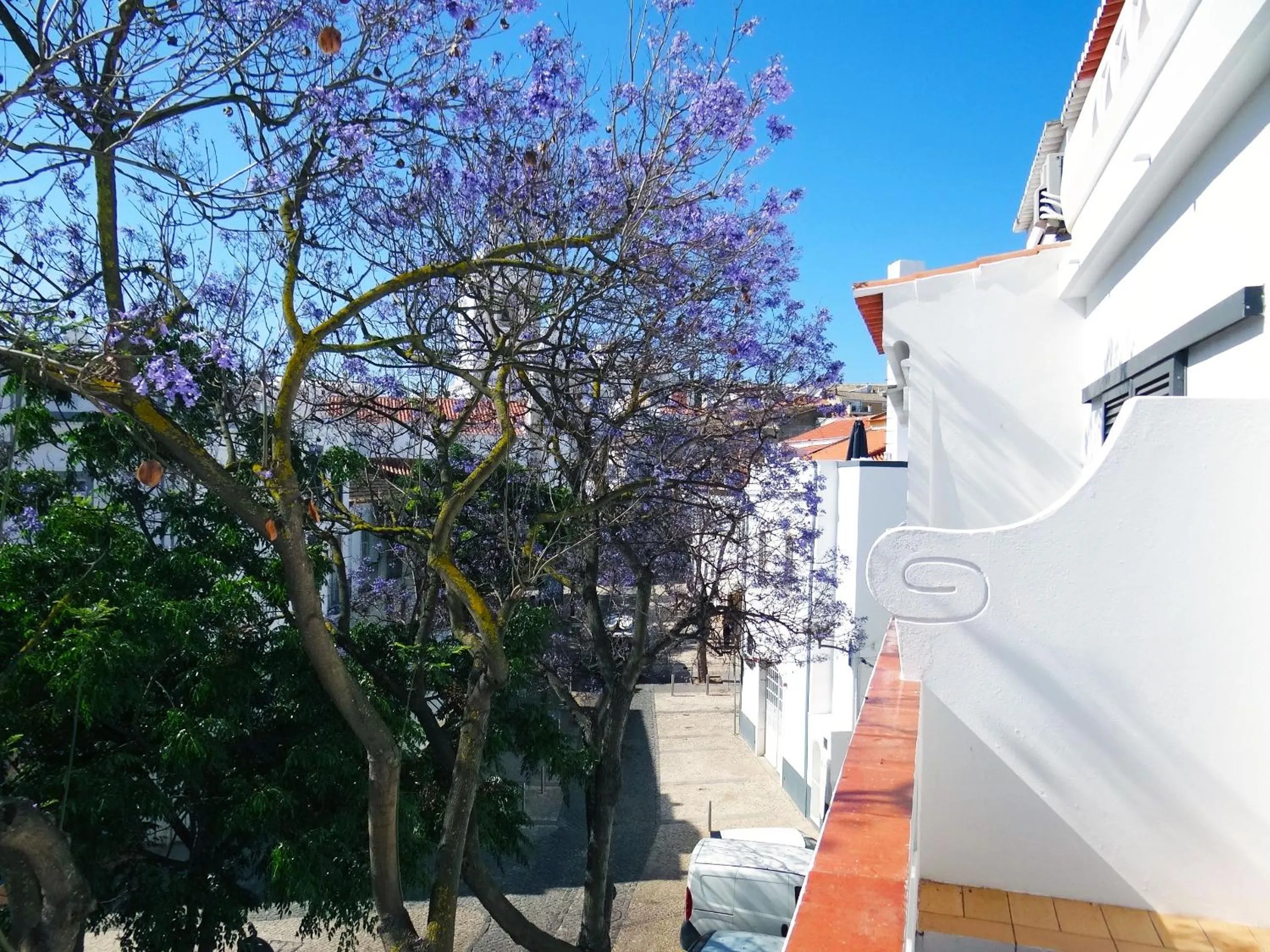 Balcony/Terrace in The Salty Lodge