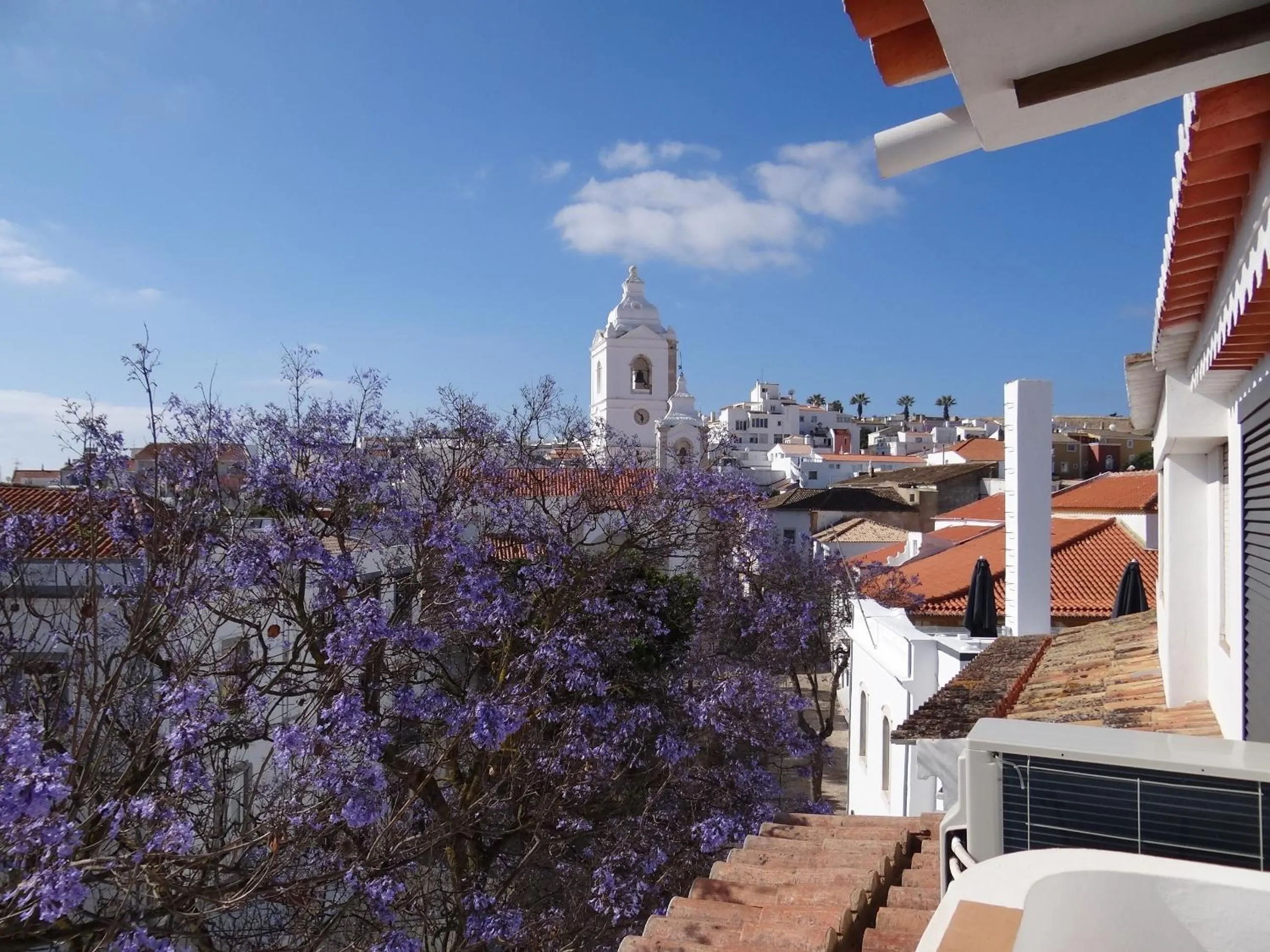 Balcony/Terrace in The Salty Lodge