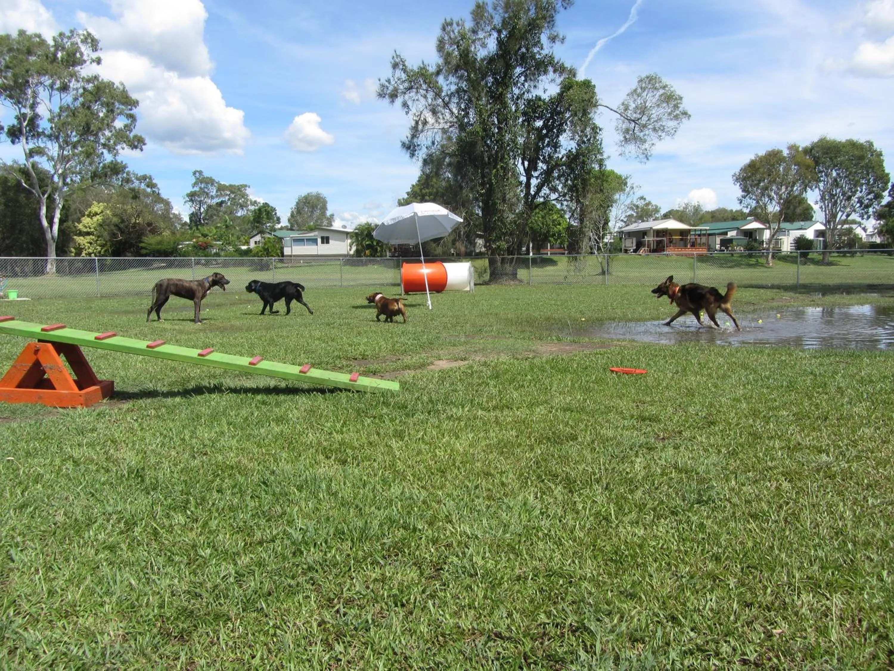 Day in BIG4 Gold Coast Holiday Park