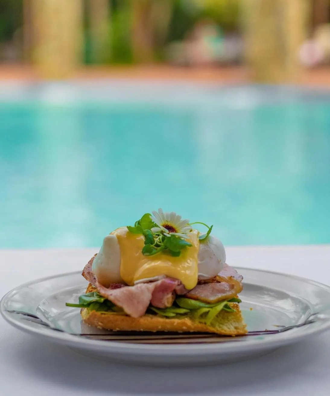 Food in BIG4 Gold Coast Holiday Park