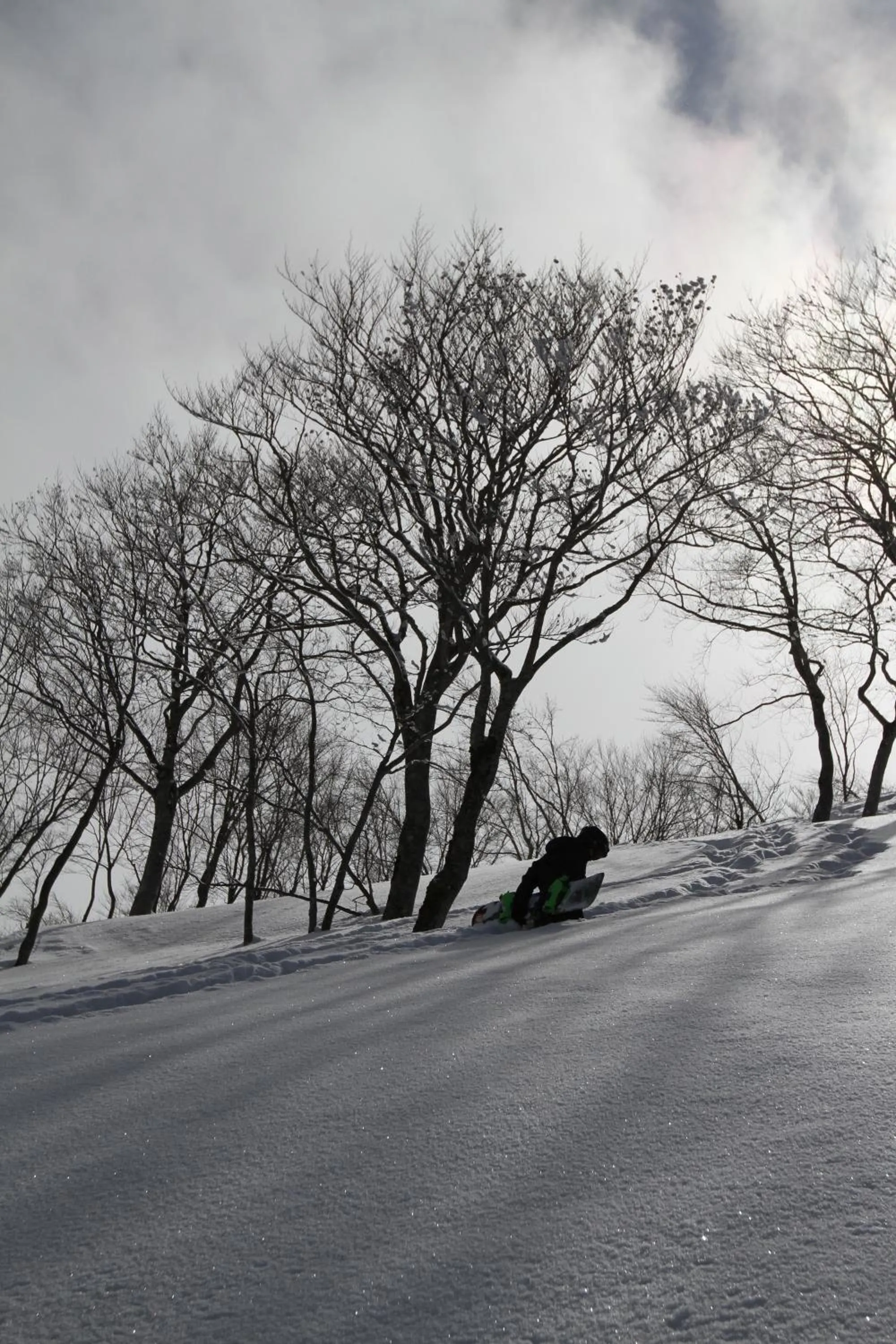 Skiing in Powder Temple