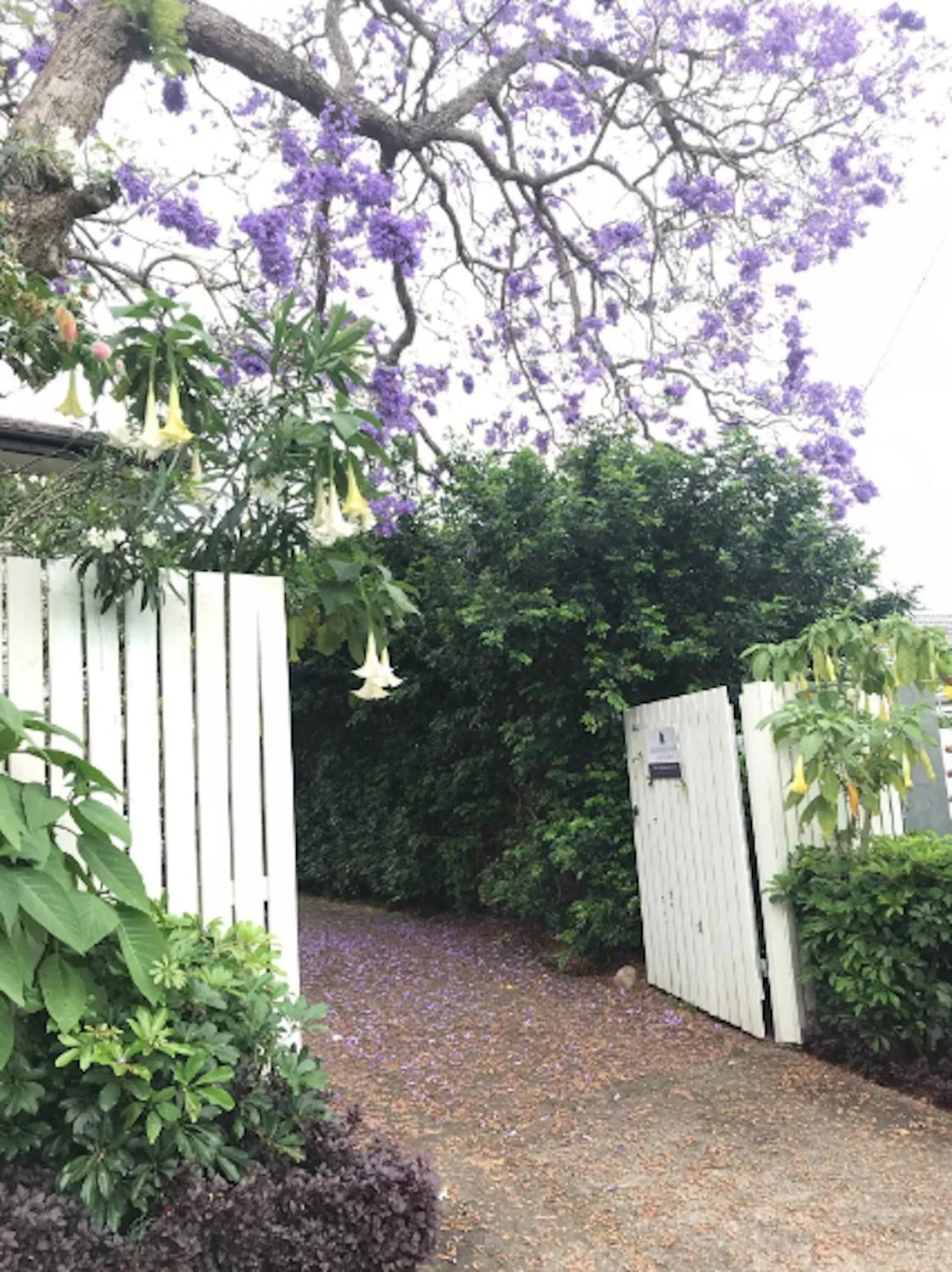 Facade/entrance in Jacaranda House Garden Suite