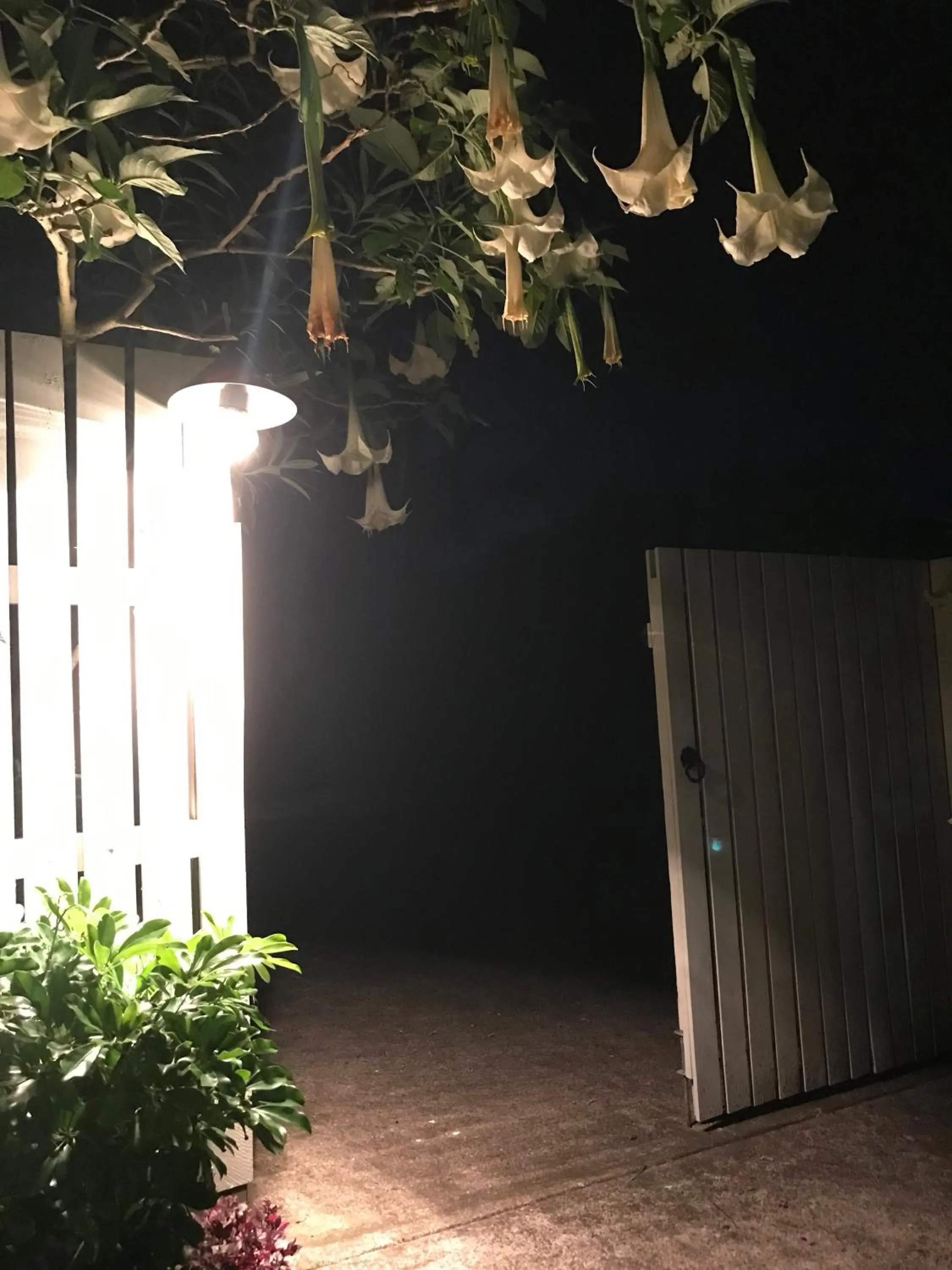 Facade/entrance in Jacaranda House Garden Suite