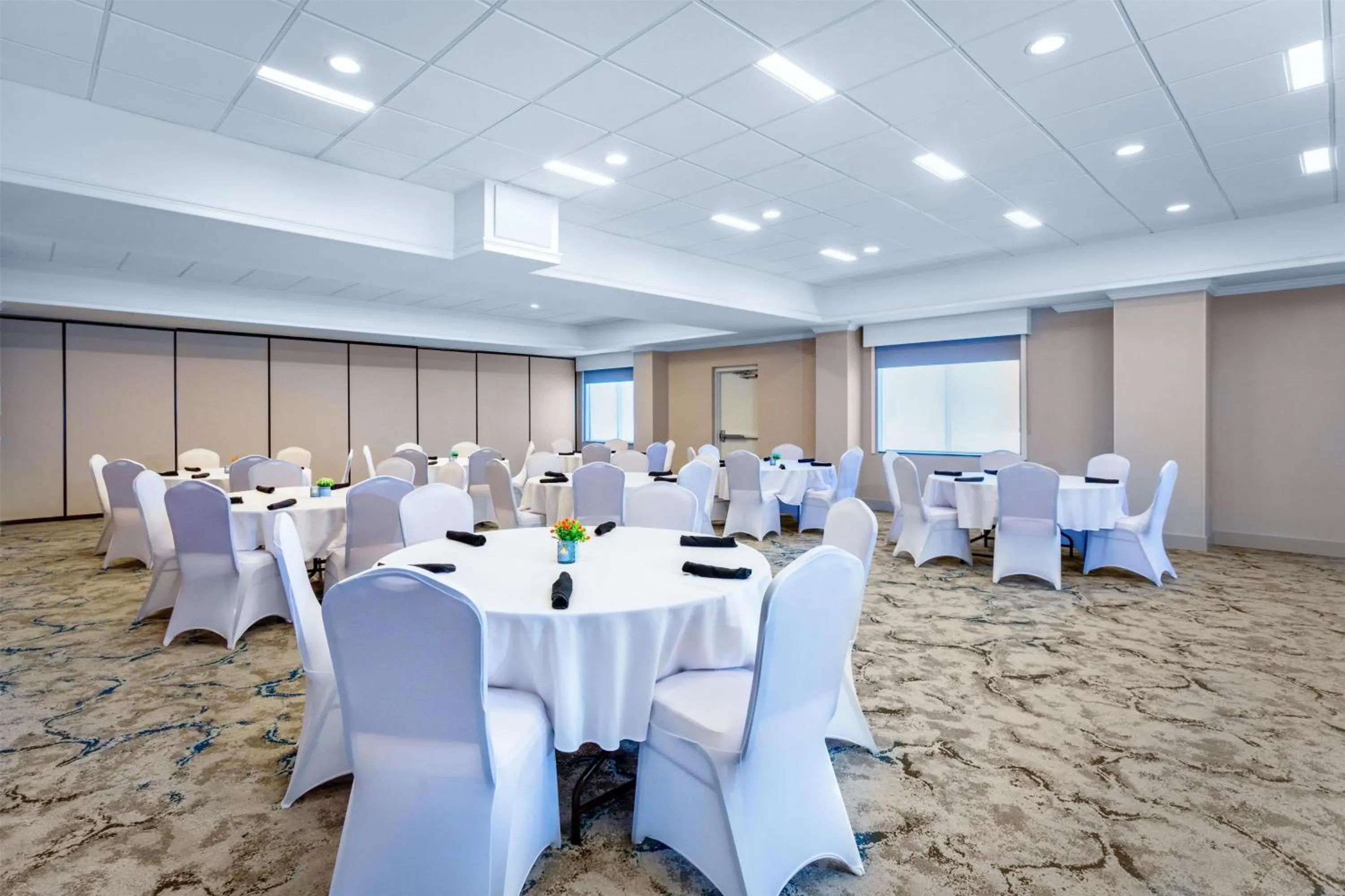 Meeting/conference room in Hilton Garden Inn Tampa Northwest/Oldsmar