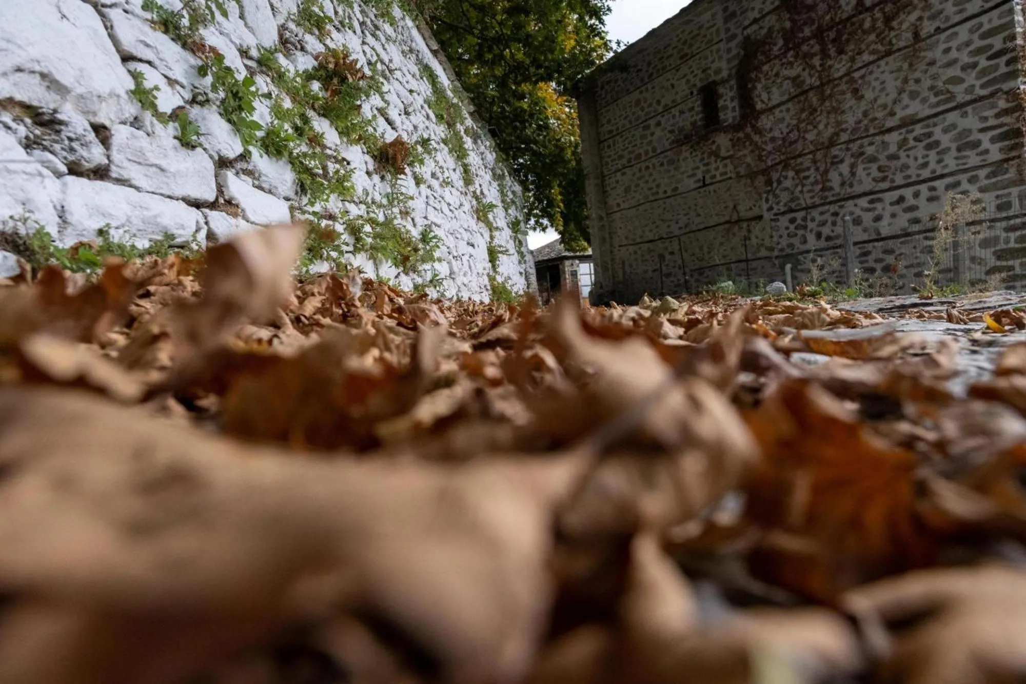 Hiking in Archontiko Michael Pelion