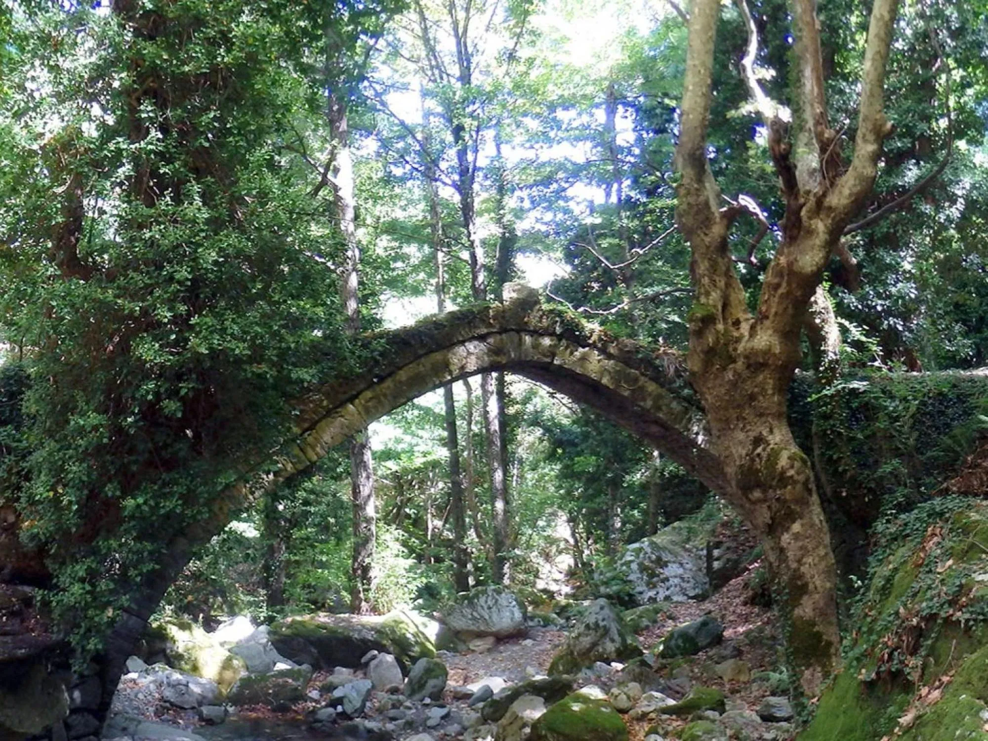 Natural landscape in Archontiko Michael Pelion