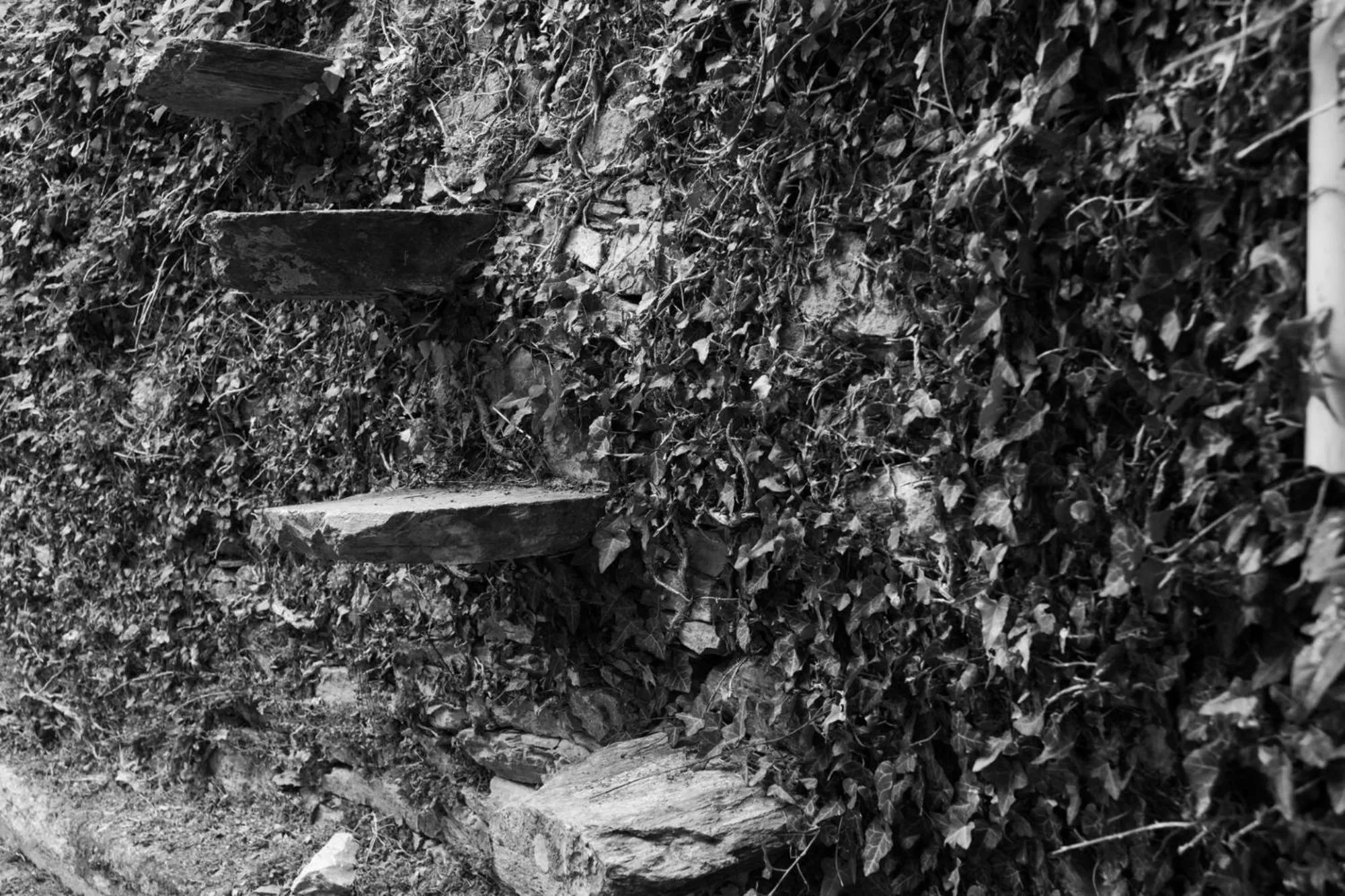 Winter in Archontiko Michael Pelion