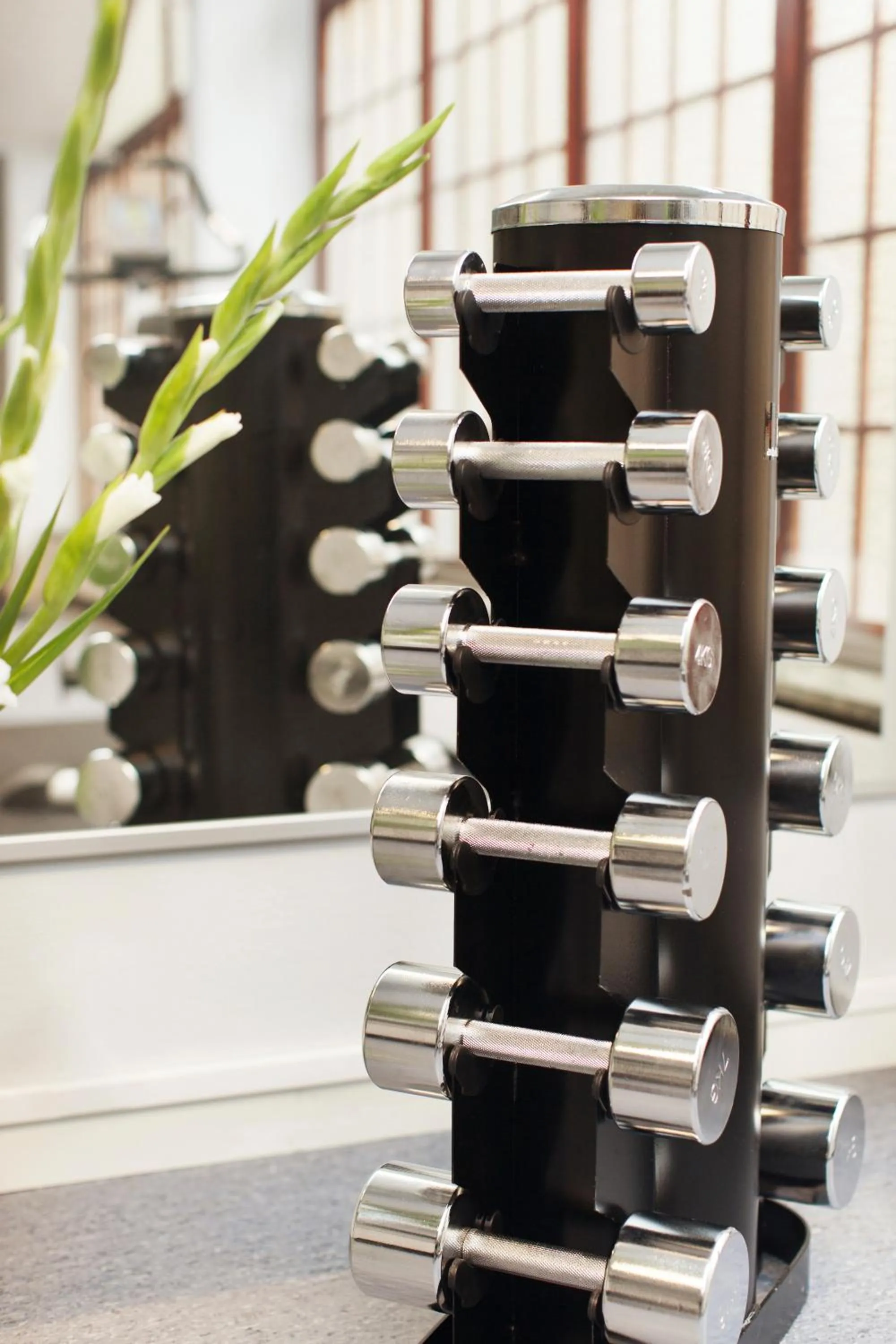 Fitness centre/facilities in Elite Stora Hotellet