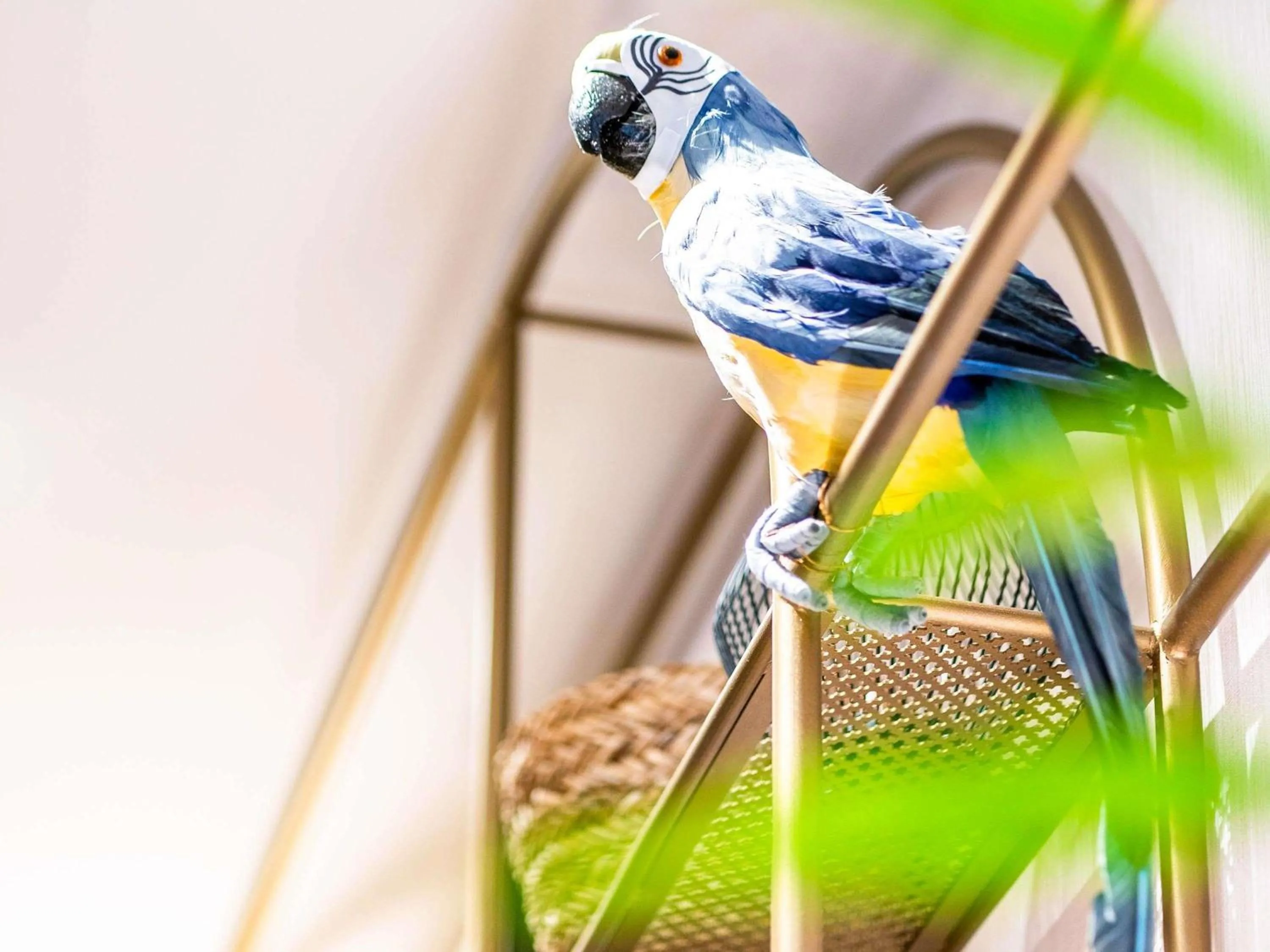 Other in ibis Styles Rennes Cesson