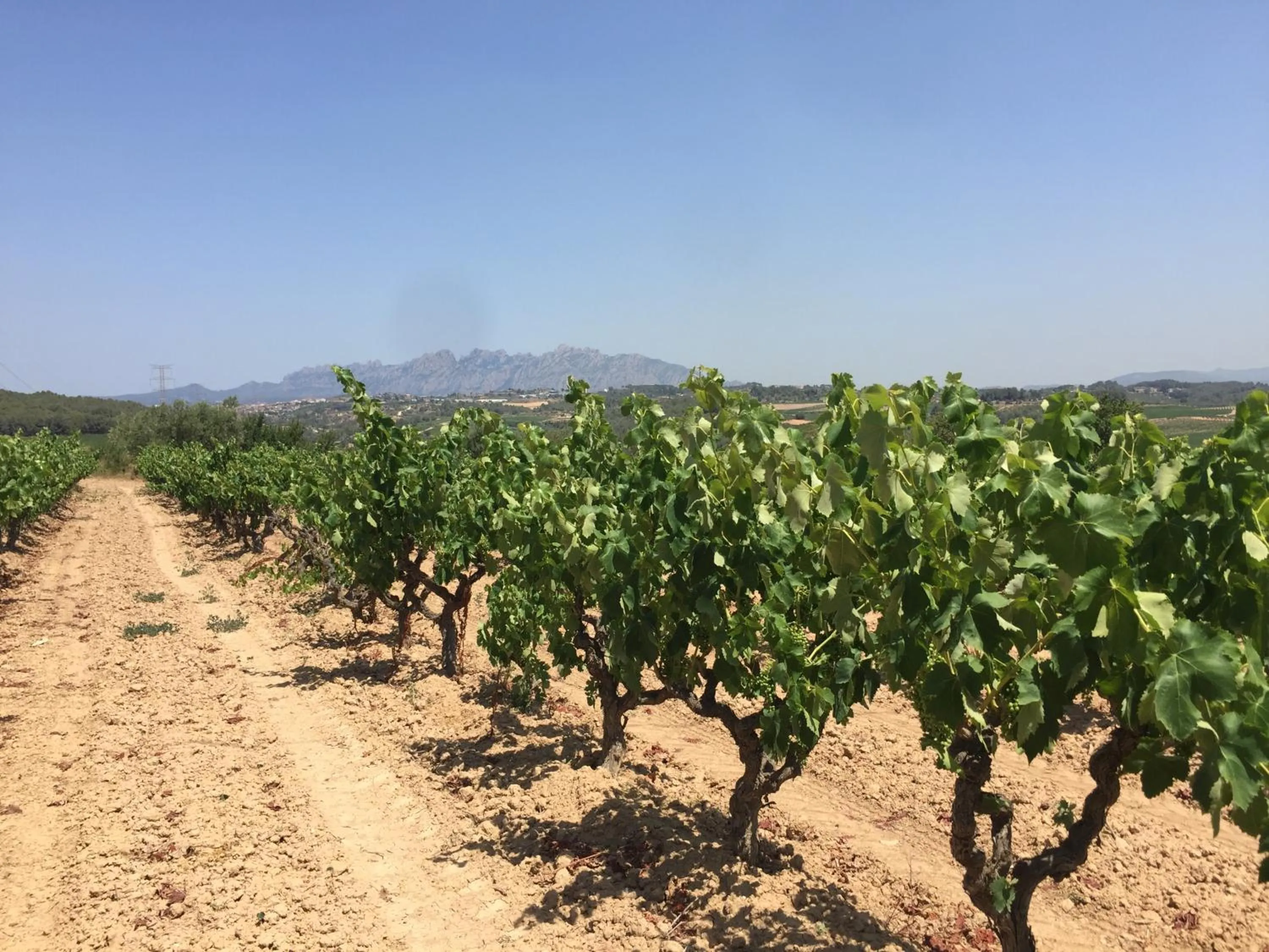 Property building in Masia Can Canyes & Spa