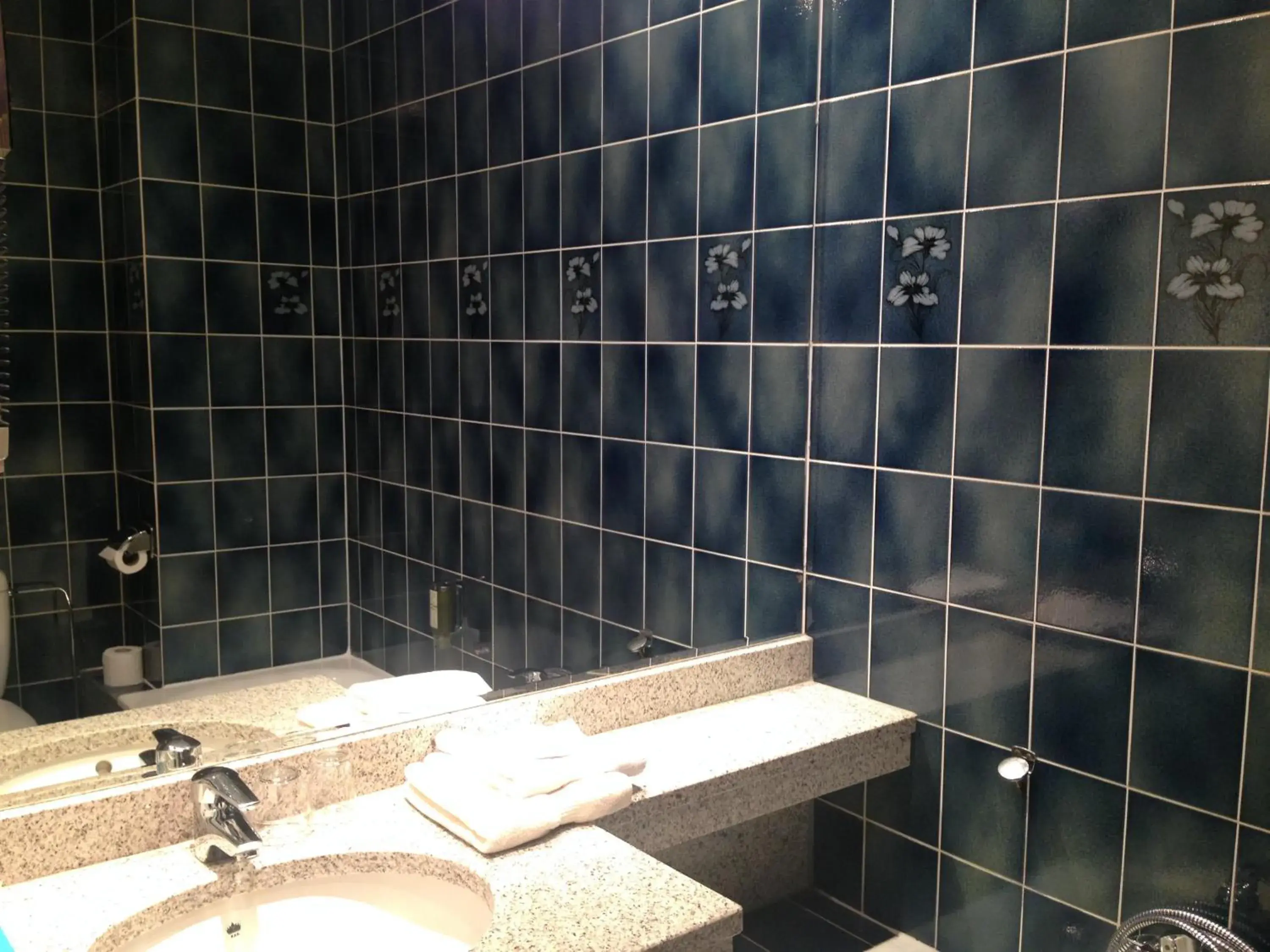 Bathroom in Logis Hôtel-Restaurant Auberge d'Imsthal Bathroom in Logis Hôtel-Restaurant Auberge d'Imsthal